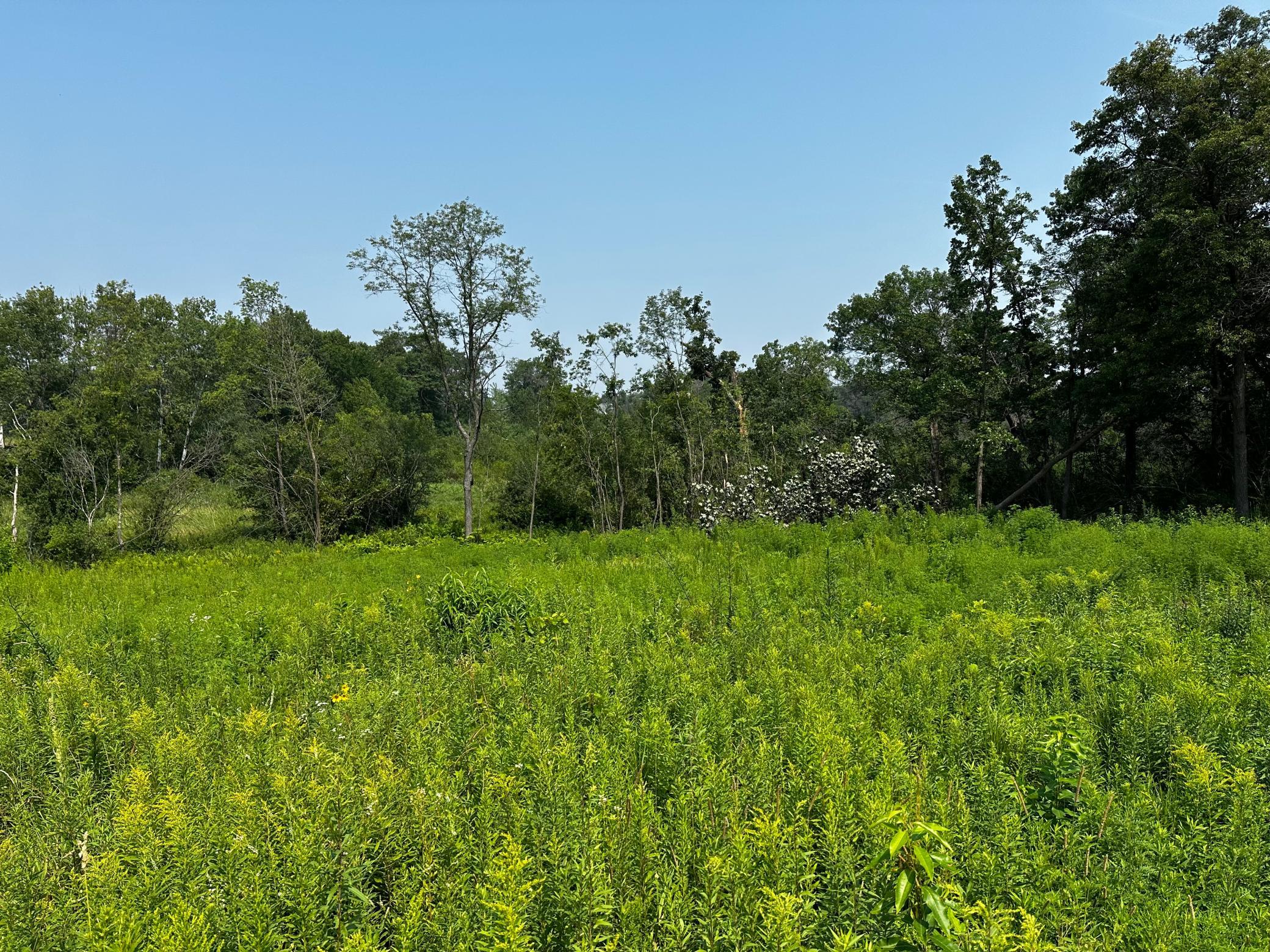 View of Land at 8 Pondview Trail, North Oaks MN 55127, North Oaks - Mike Wilen | Minnesota Team Real Estate