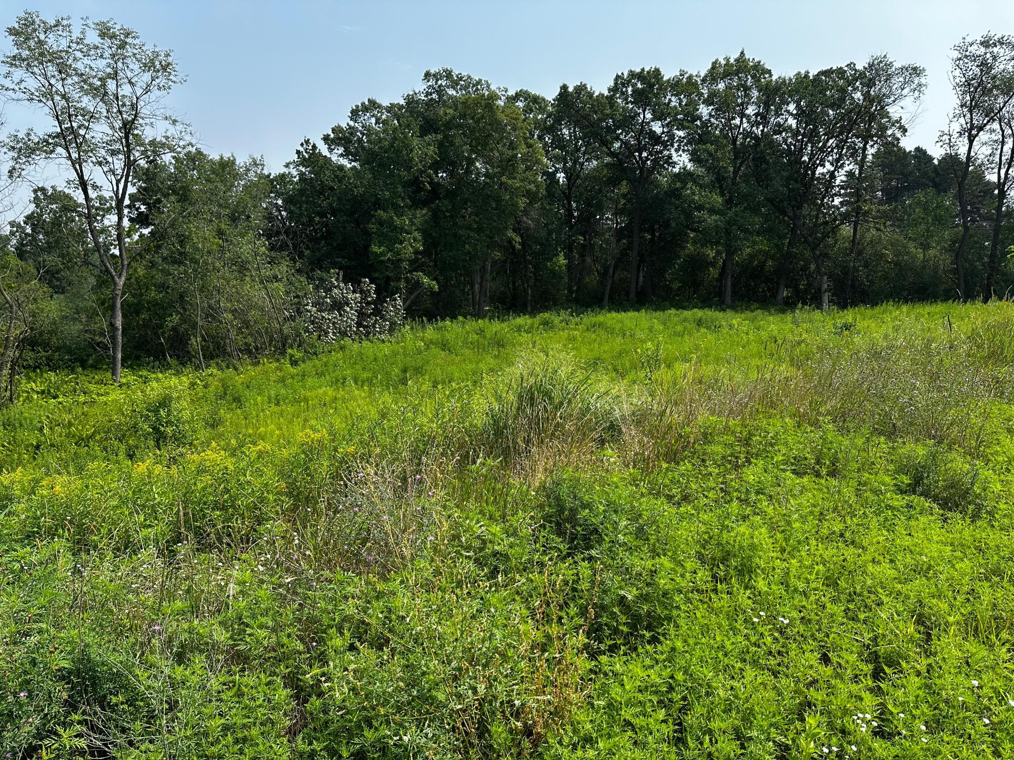 View of Land at 8 Pondview Trail, North Oaks MN 55127, North Oaks (2 of 6) - Mike Wilen | Minnesota Team Real Estate