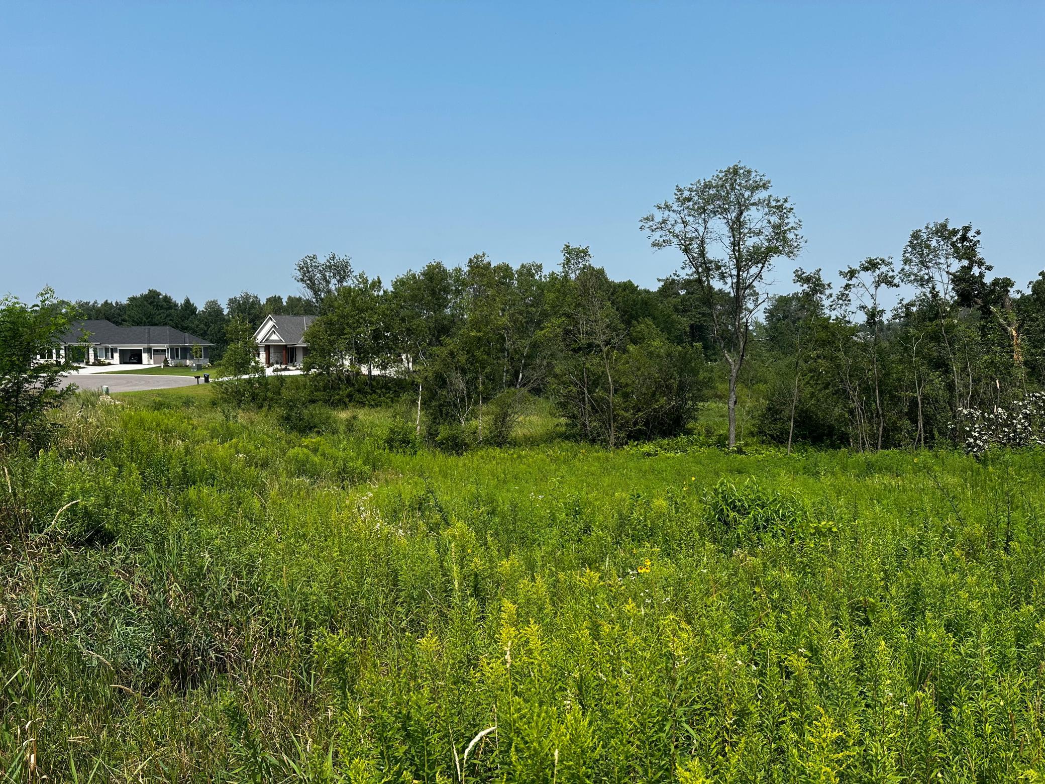 View of Land at 8 Pondview Trail, North Oaks MN 55127, North Oaks (4 of 6) - Mike Wilen | Minnesota Team Real Estate