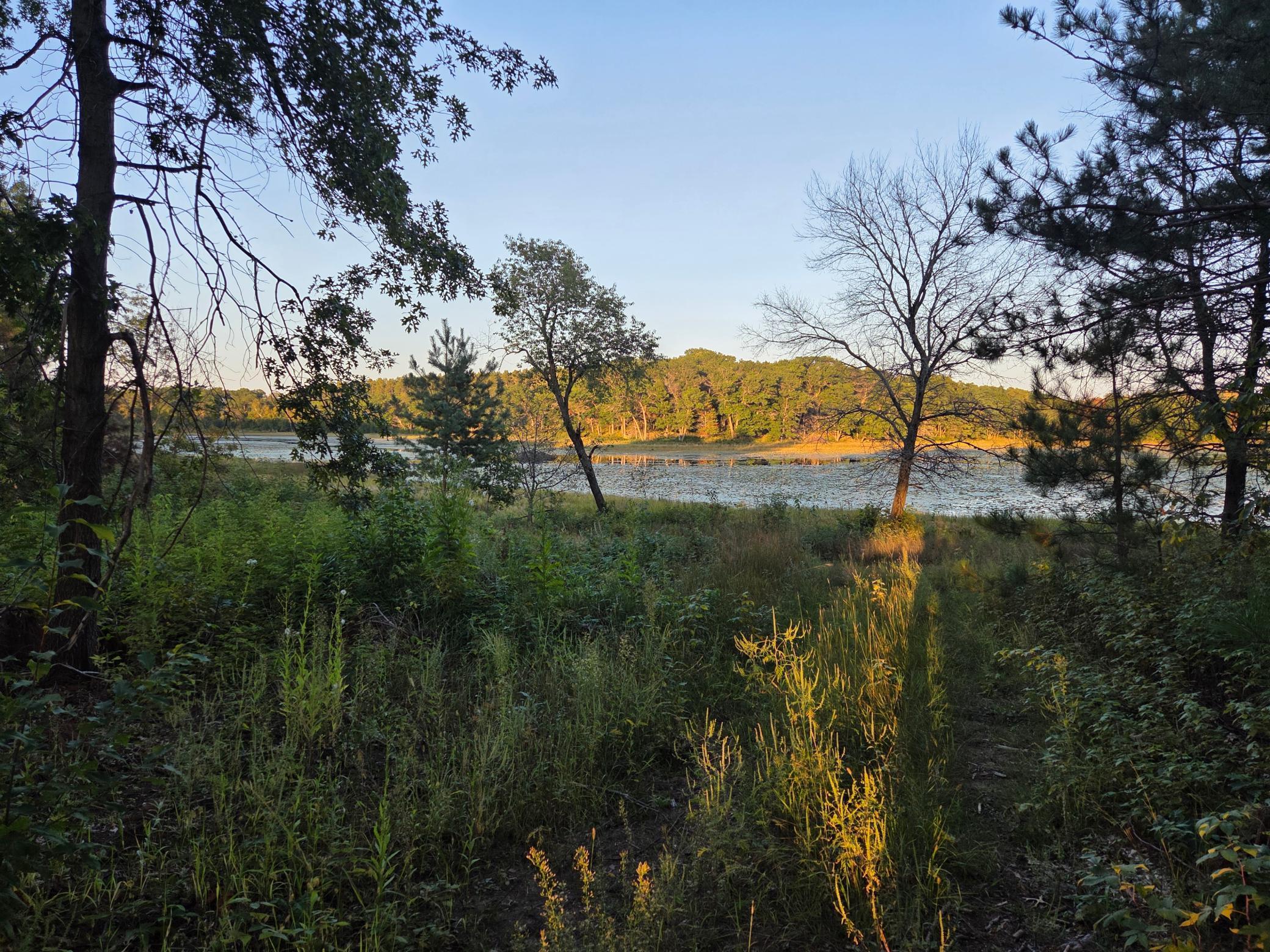 View of Land at XXX 349th Avenue, Princeton MN 55371, Princeton - Mike Wilen | Minnesota Team Real Estate