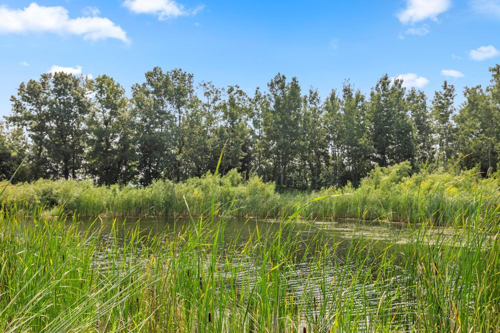 View of Residential at 4848 Bulrush Boulevard, Shakopee MN 55379, Shakopee (68 of 75) - Mike Wilen | Minnesota Team Real Estate