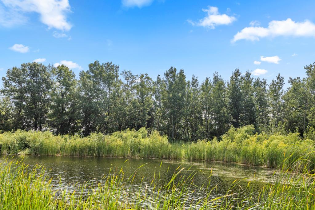 View of Residential at 4848 Bulrush Boulevard, Shakopee MN 55379, Shakopee (67 of 75) - Mike Wilen | Minnesota Team Real Estate