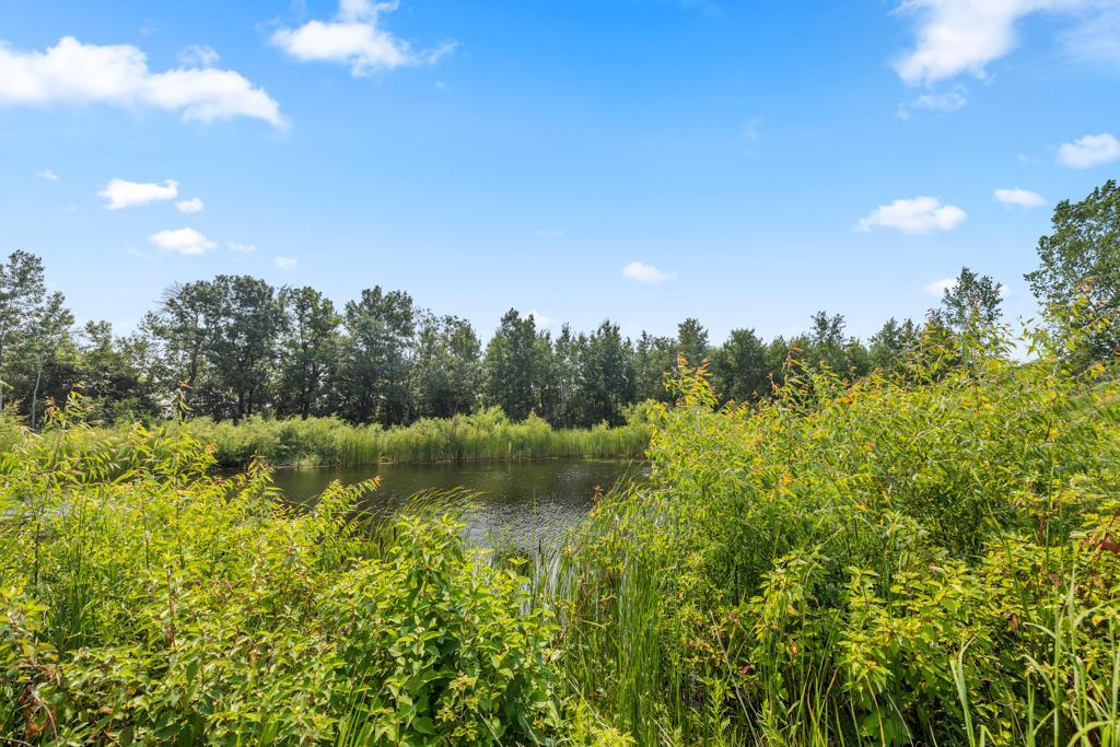 View of Residential at 4848 Bulrush Boulevard, Shakopee MN 55379, Shakopee (61 of 75) - Mike Wilen | Minnesota Team Real Estate