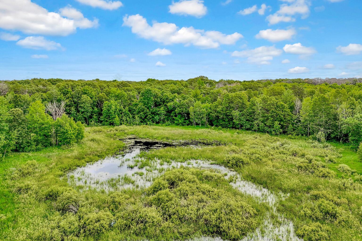 View of Land at 374XX-N40 Hemingway, North Branch MN 55056, North Branch (14 of 14) - Mike Wilen | Minnesota Team Real Estate
