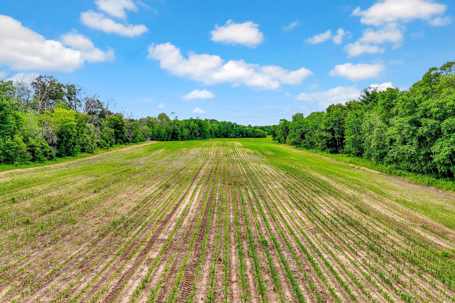 View of Land at 374XX-N40 Hemingway, North Branch MN 55056, North Branch (10 of 14) - Mike Wilen | Minnesota Team Real Estate