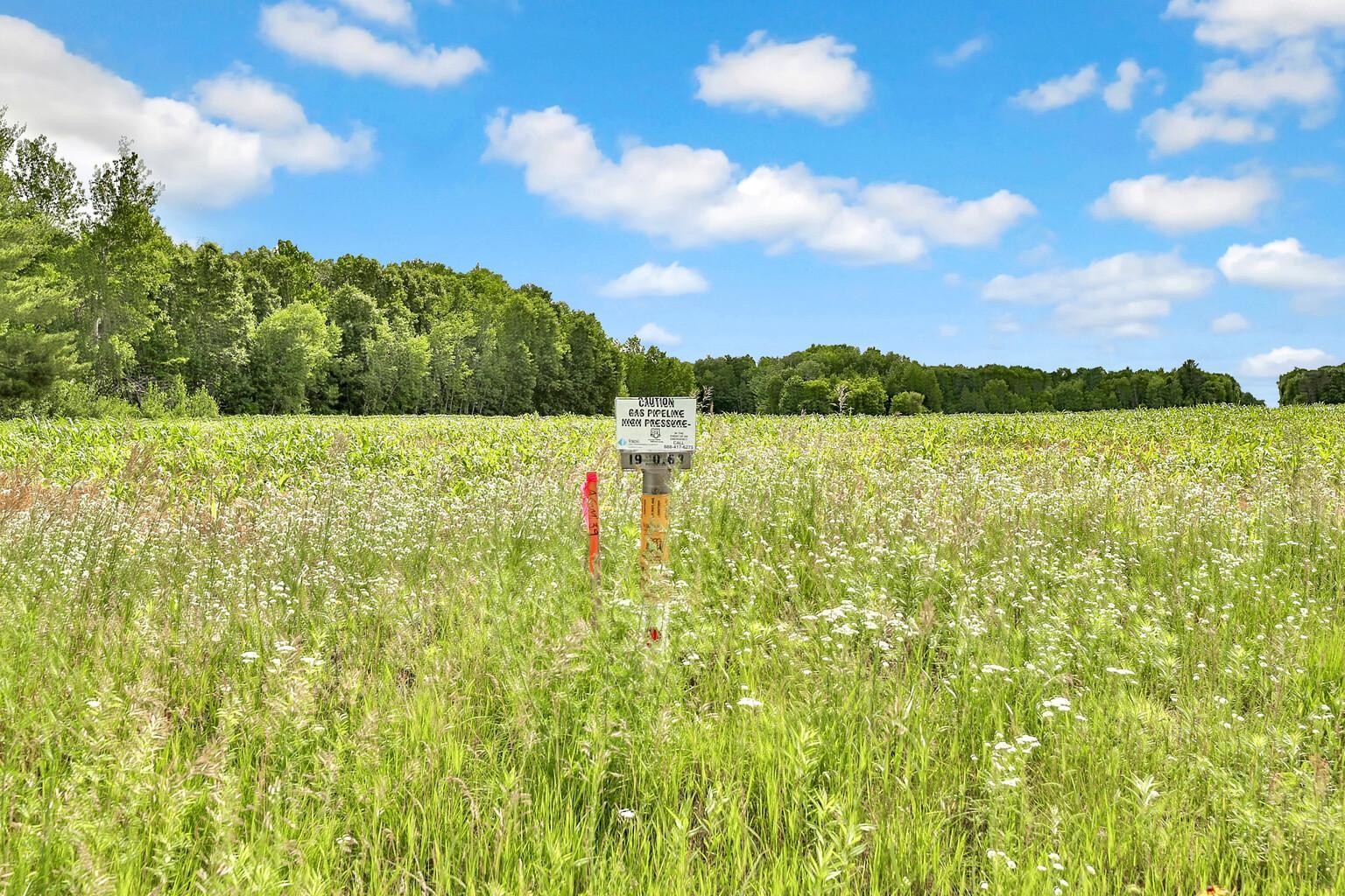 View of Land at 374XX-N40 Hemingway, North Branch MN 55056, North Branch (6 of 14) - Mike Wilen | Minnesota Team Real Estate