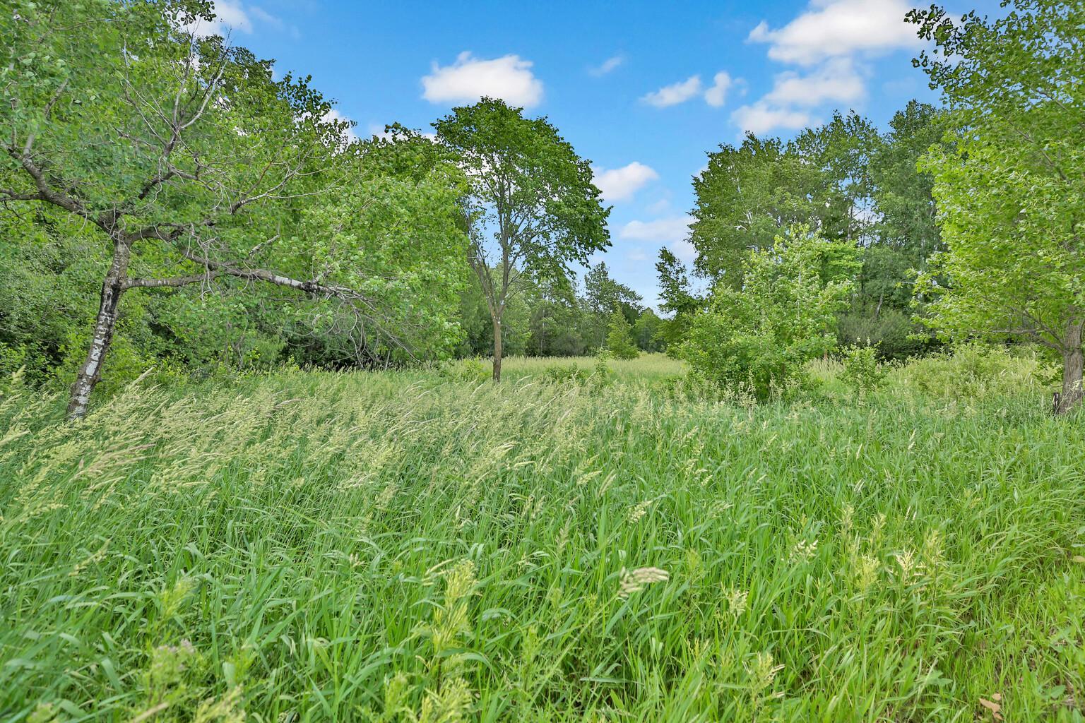 View of Land at 374XX-N40 Hemingway, North Branch MN 55056, North Branch (4 of 14) - Mike Wilen | Minnesota Team Real Estate