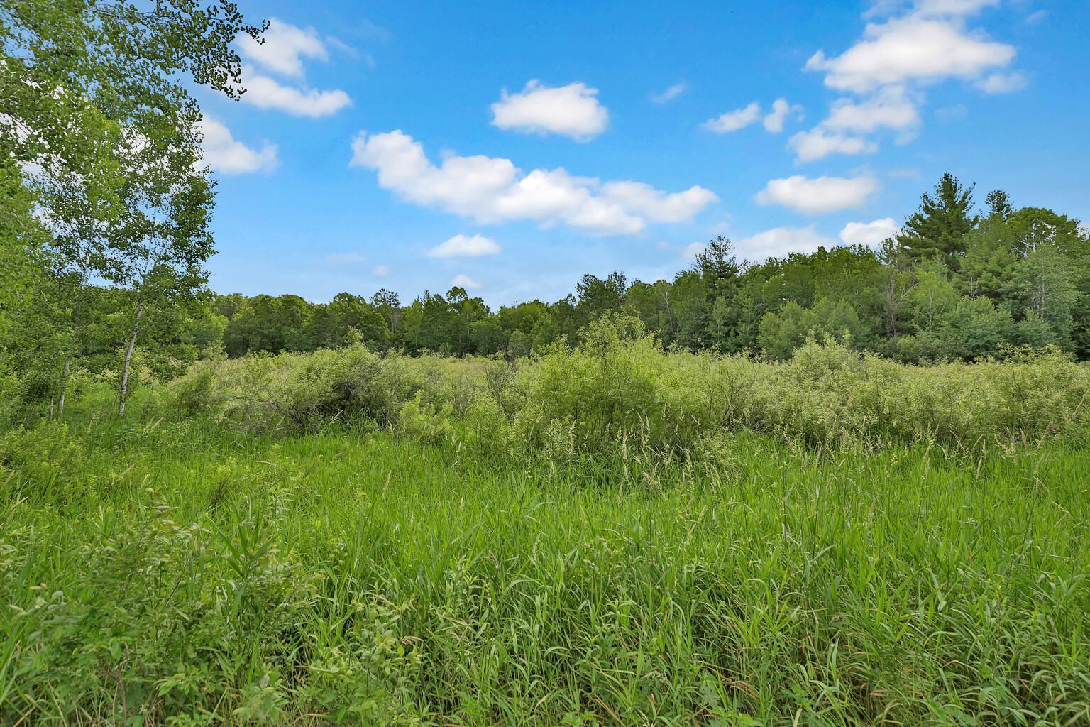 View of Land at 374XX-N40 Hemingway, North Branch MN 55056, North Branch (3 of 14) - Mike Wilen | Minnesota Team Real Estate