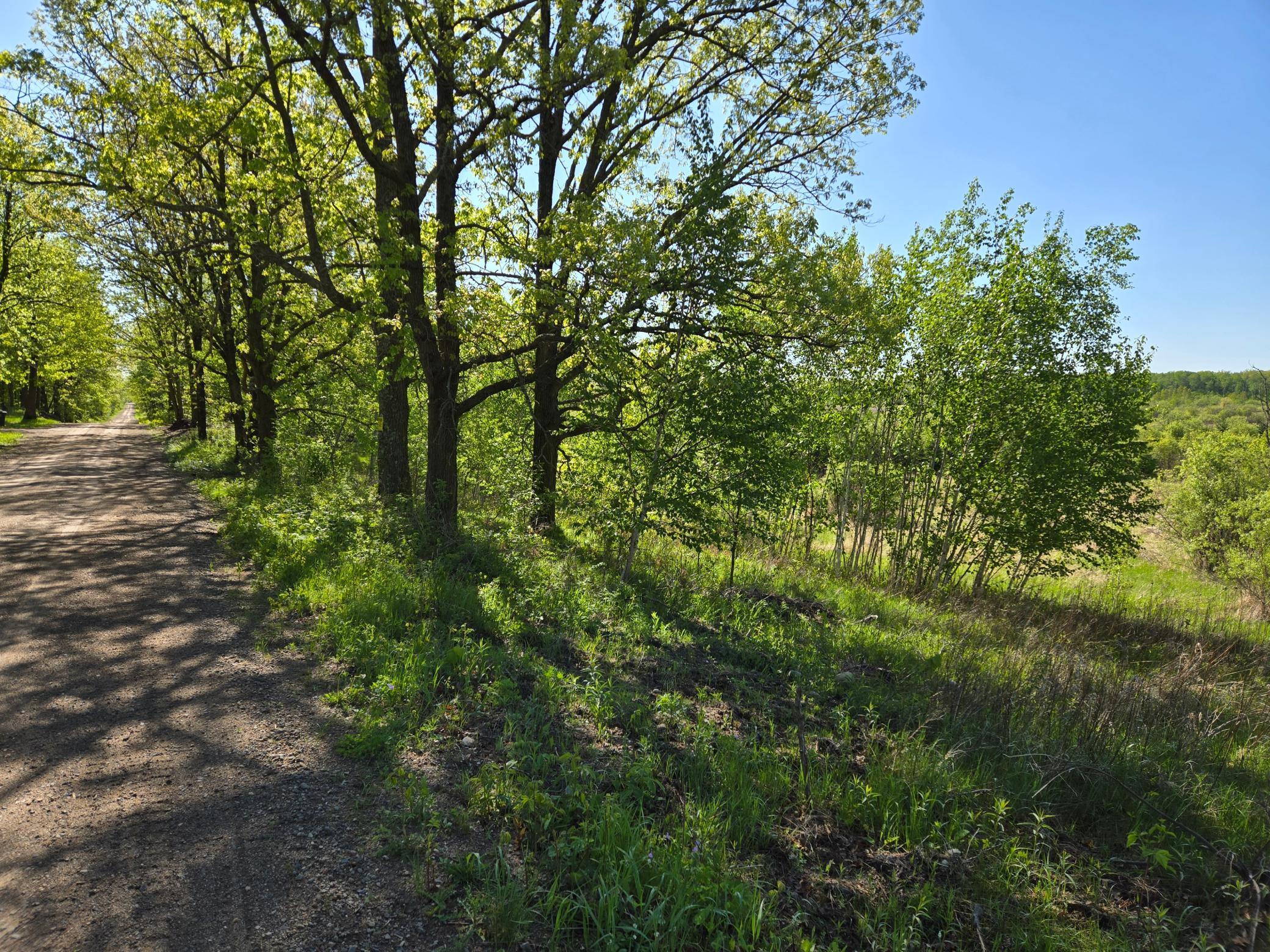 View of Land at TBD 360th Street, Onamia MN 56359, Onamia (5 of 10) - Mike Wilen | Minnesota Team Real Estate