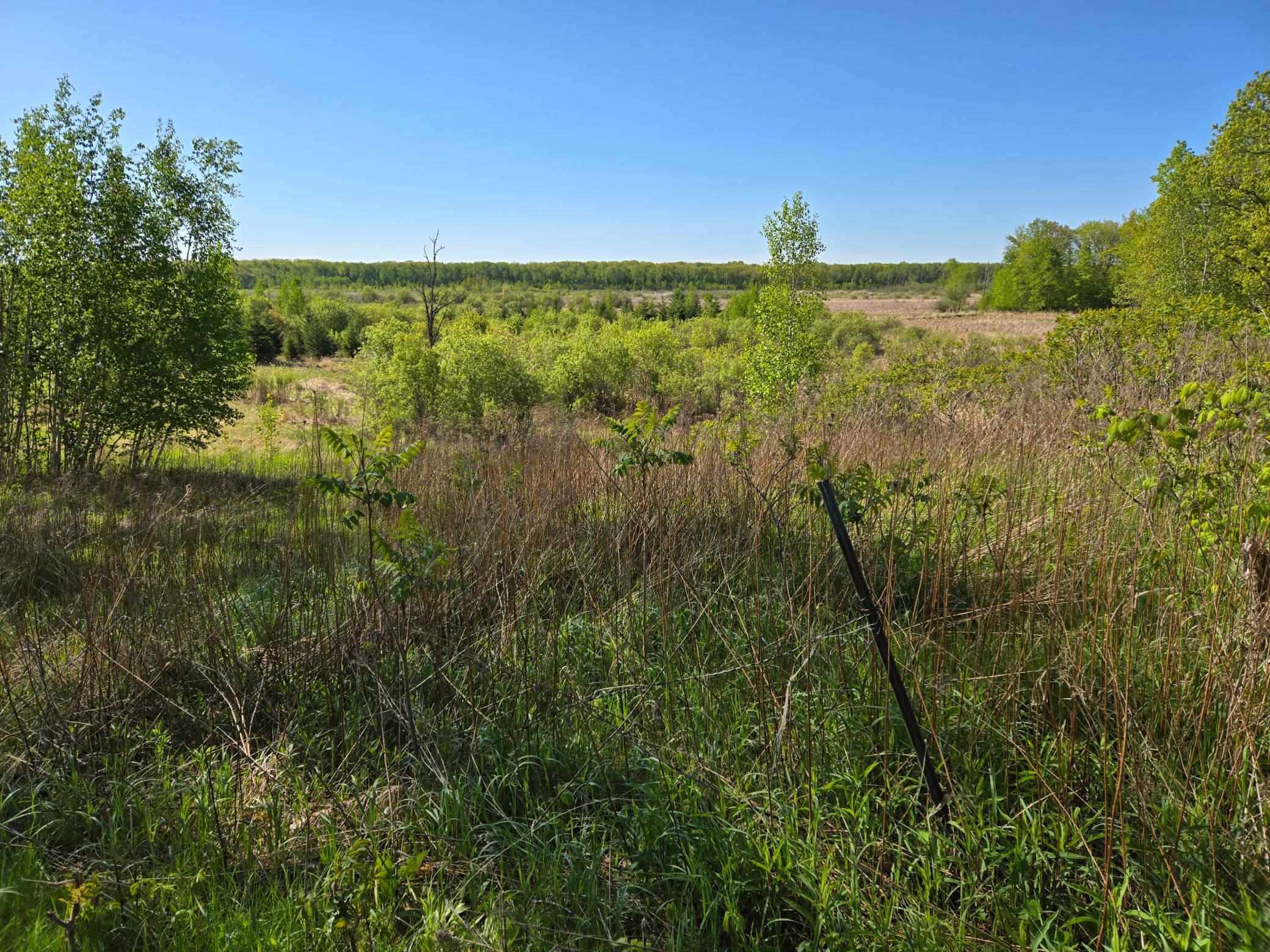 View of Land at TBD 360th Street, Onamia MN 56359, Onamia (3 of 10) - Mike Wilen | Minnesota Team Real Estate