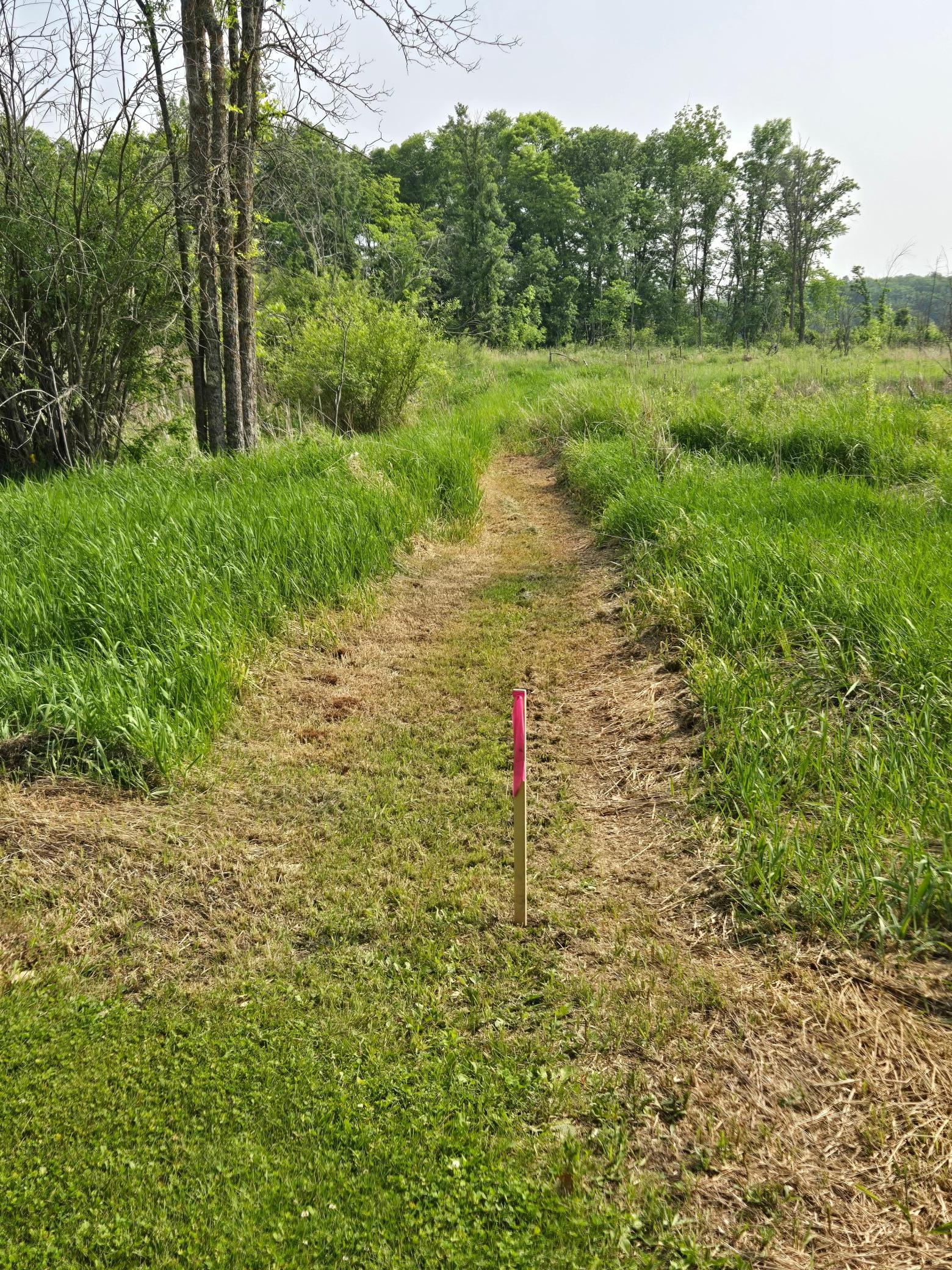 View of Land at TBD 360th Street, Onamia MN 56359, Onamia (7 of 10) - Mike Wilen | Minnesota Team Real Estate