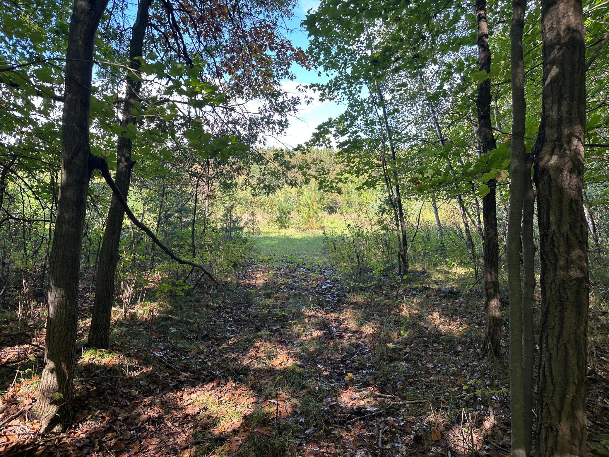 View of Land at XXX 424th Street, Harris MN 55032, Harris - Mike Wilen | Minnesota Team Real Estate