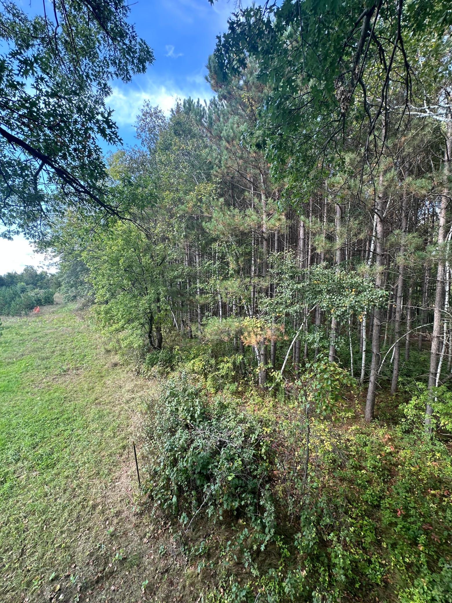 View of Land at XXX 424th Street, Harris MN 55032, Harris (7 of 8) - Mike Wilen | Minnesota Team Real Estate