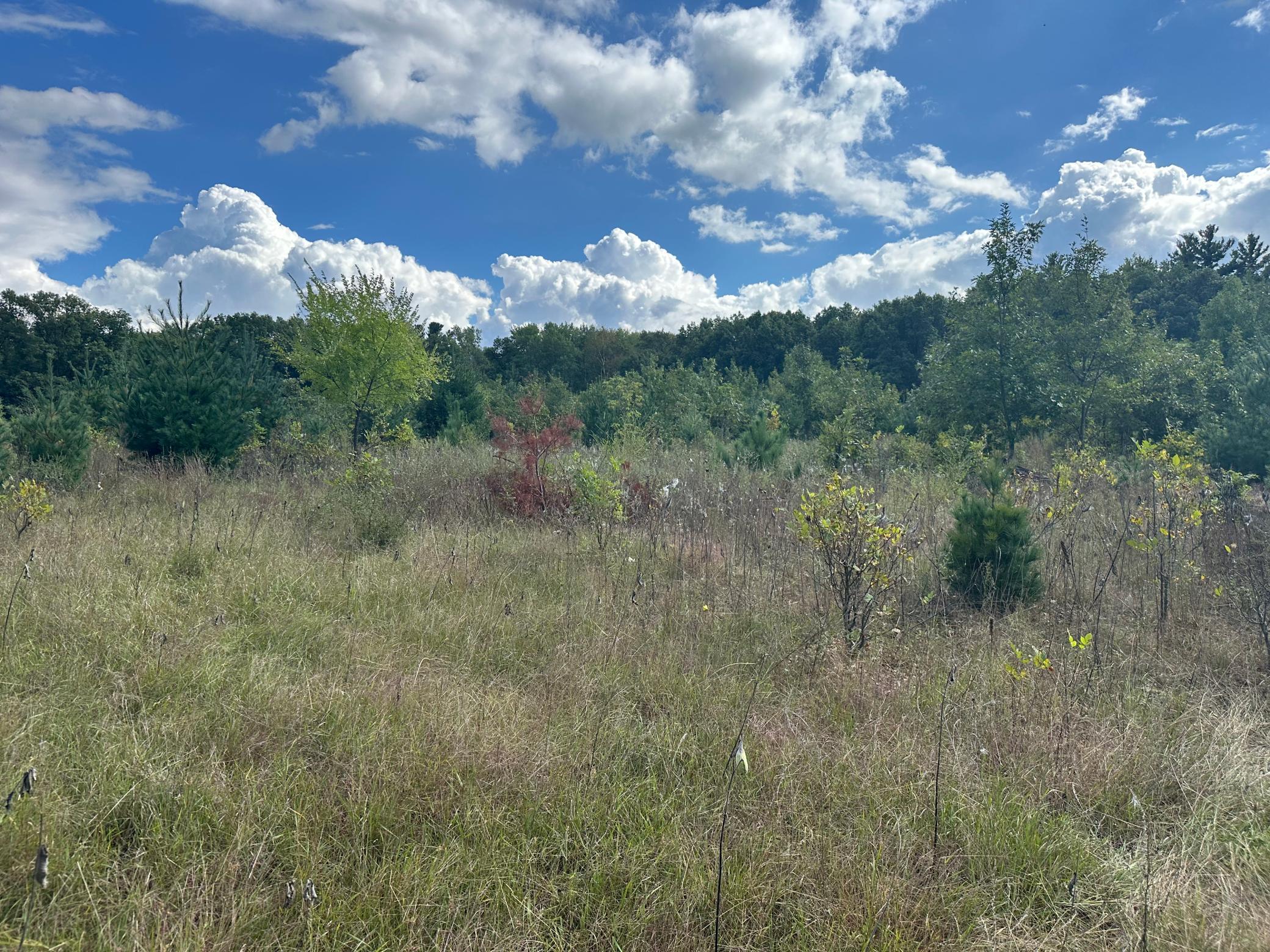 View of Land at XXX 424th Street, Harris MN 55032, Harris (4 of 8) - Mike Wilen | Minnesota Team Real Estate