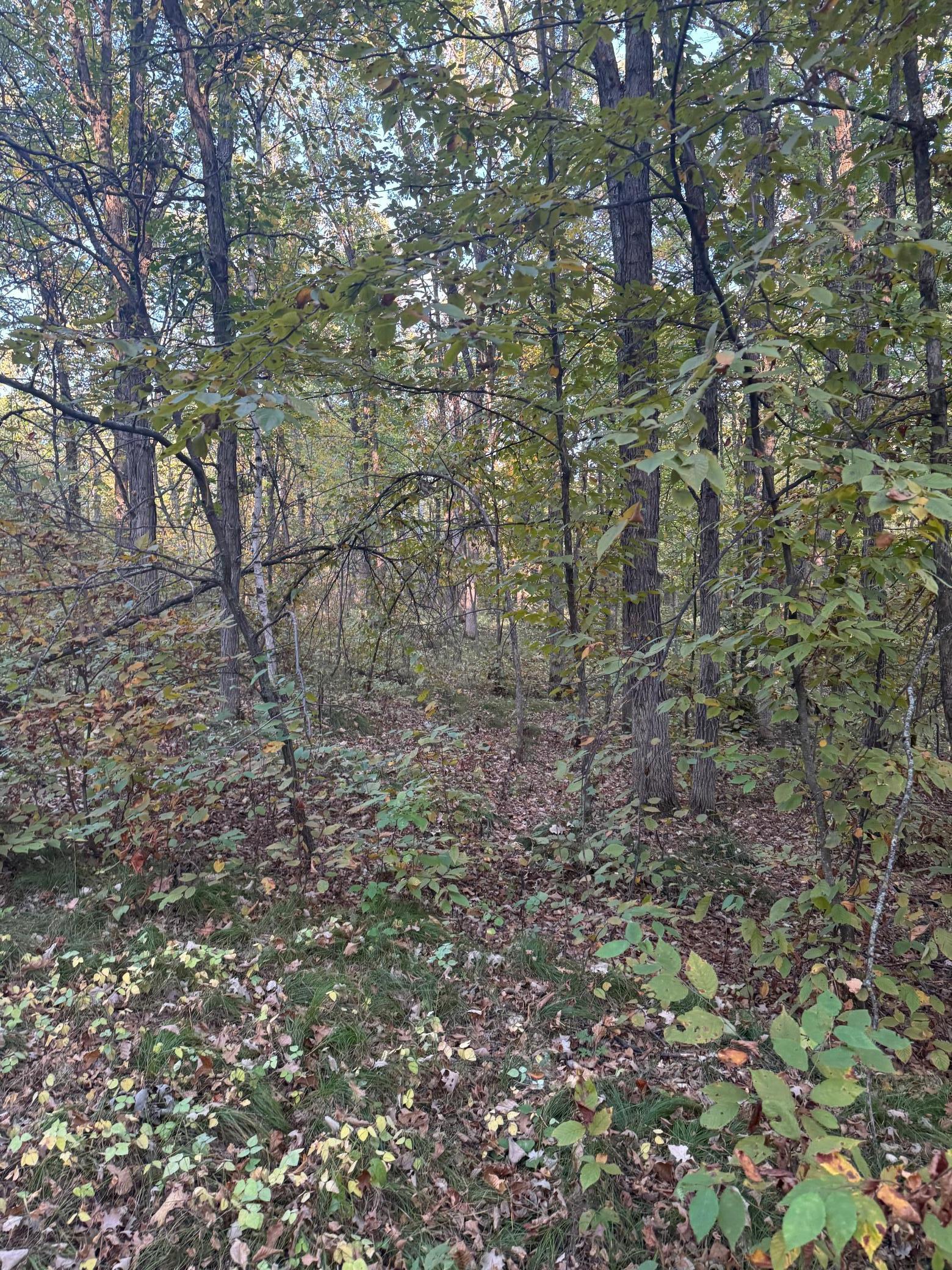 View of Land at TBD Dell Marie Place, Breezy Point MN 56472, Breezy Point (2 of 6) - Mike Wilen | Minnesota Team Real Estate