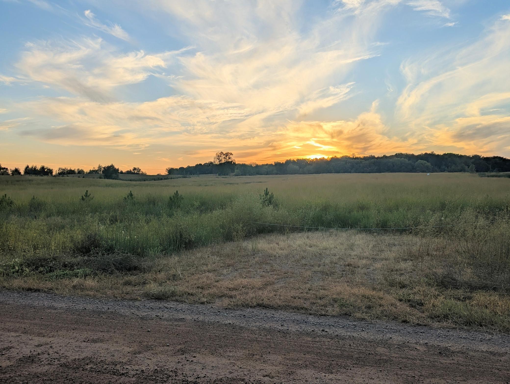 View of Land at 32128 Virgo Street, North Branch MN 55056, North Branch (9 of 10) - Mike Wilen | Minnesota Team Real Estate