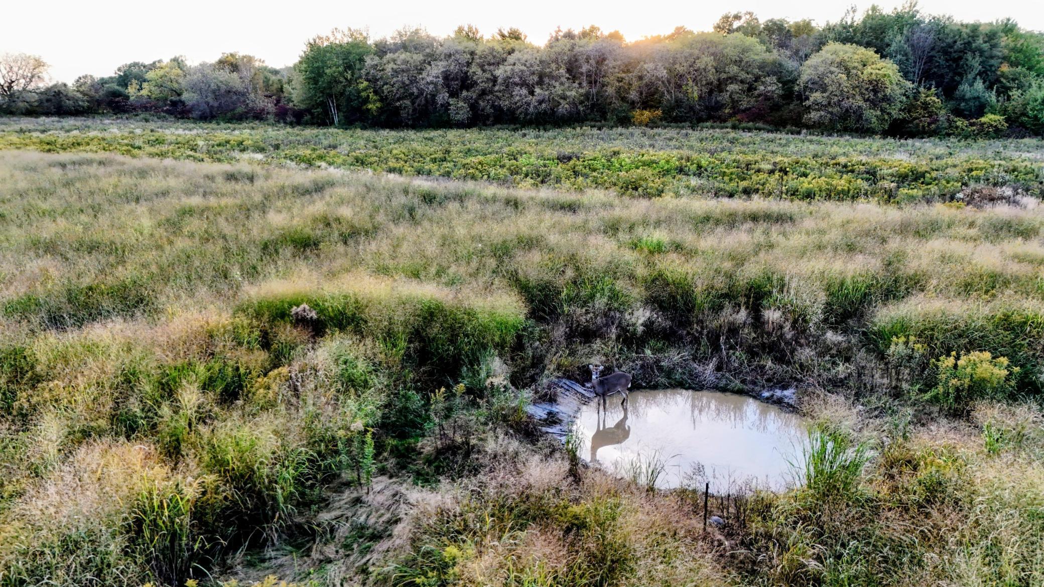 View of Land at 32128 Virgo Street, North Branch MN 55056, North Branch (5 of 10) - Mike Wilen | Minnesota Team Real Estate