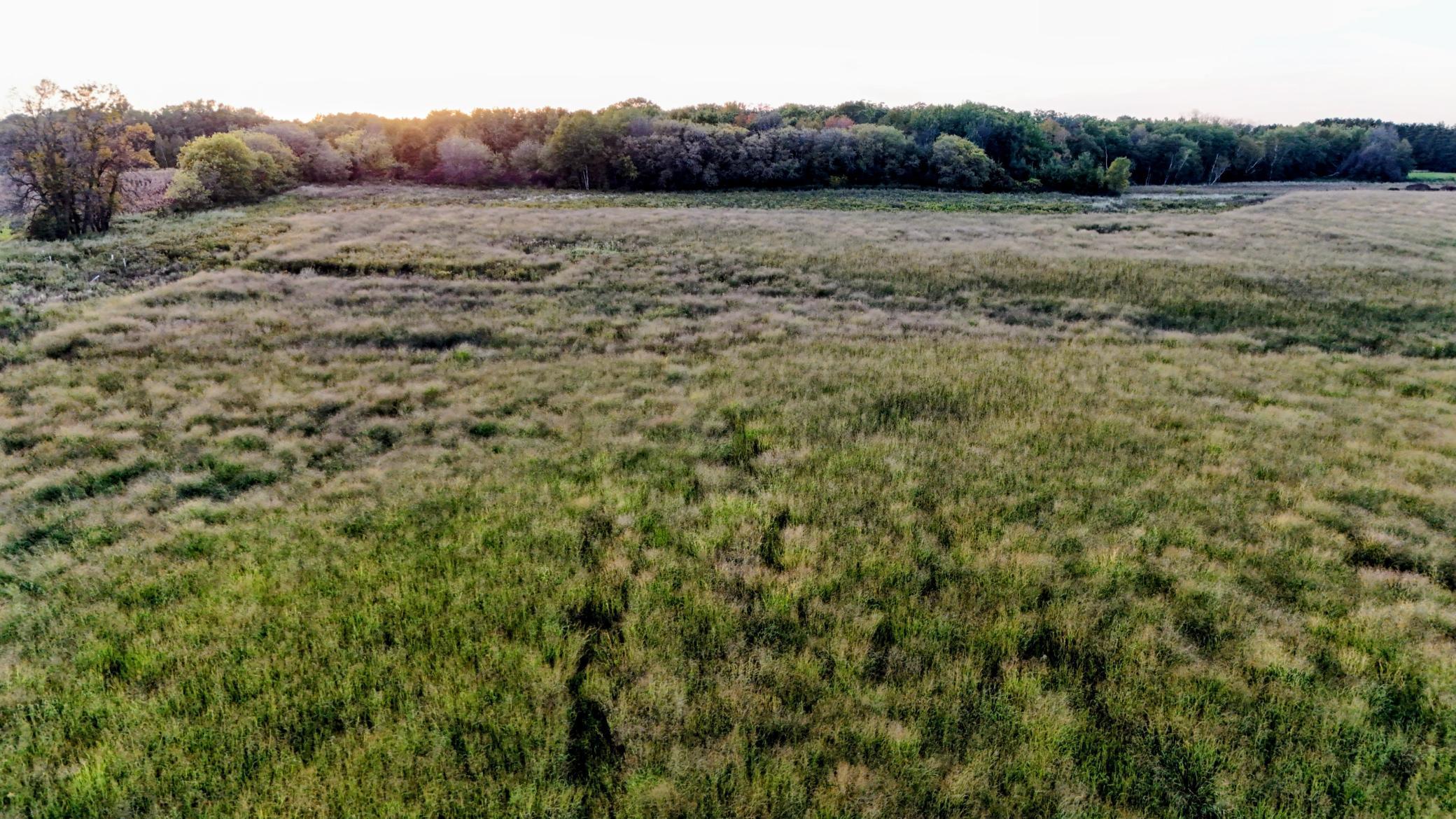 View of Land at 32128 Virgo Street, North Branch MN 55056, North Branch (8 of 10) - Mike Wilen | Minnesota Team Real Estate