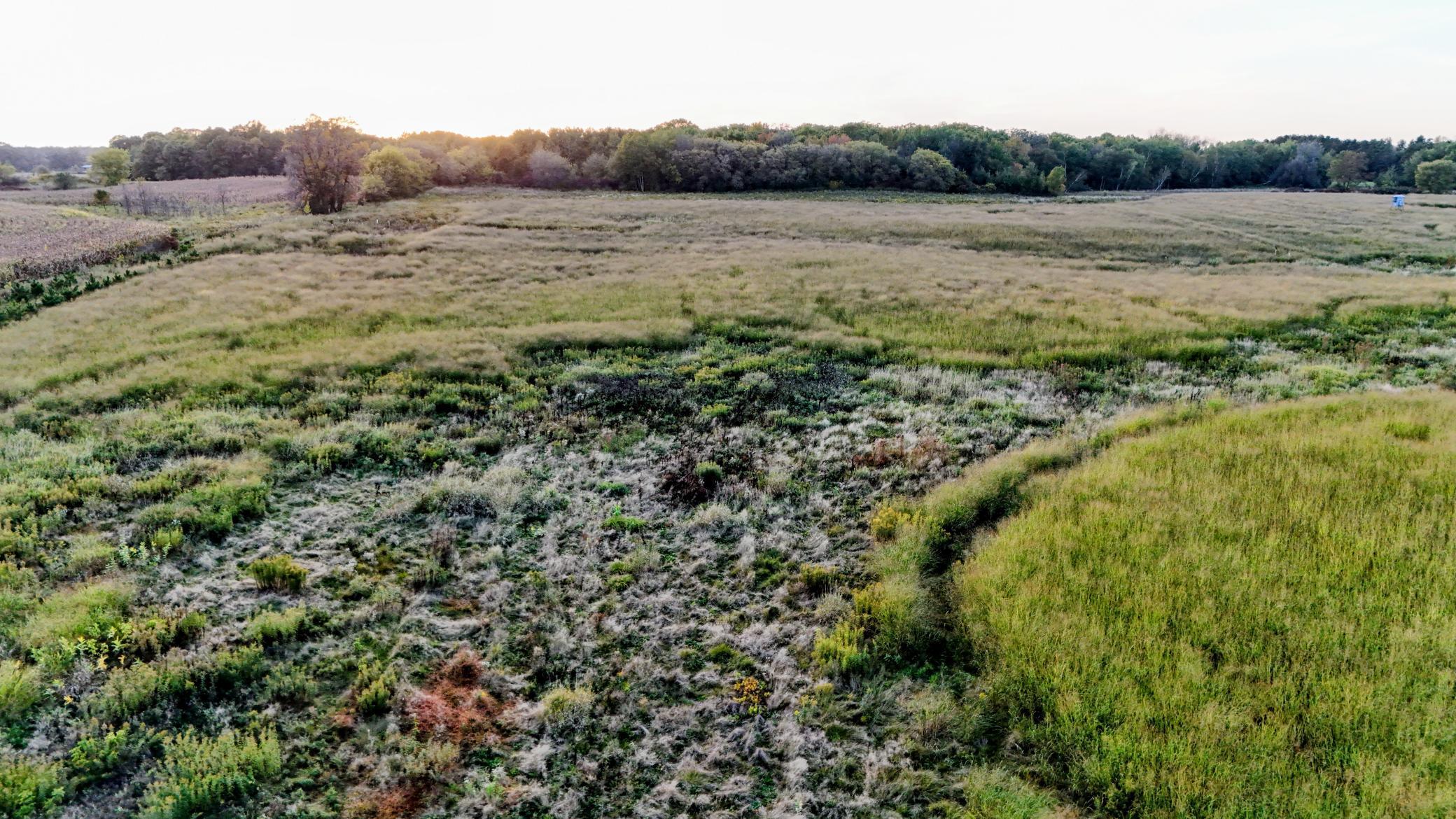 View of Land at 32128 Virgo Street, North Branch MN 55056, North Branch (7 of 10) - Mike Wilen | Minnesota Team Real Estate