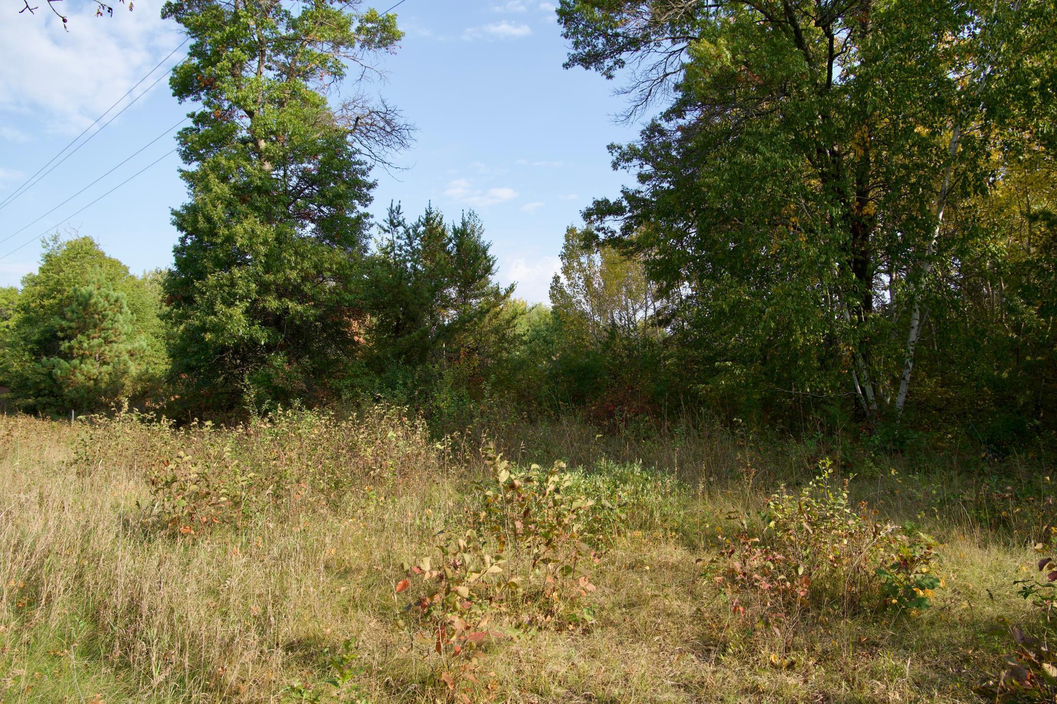 View of Land at 21.8 Acres Hwy 371, Brainerd MN 56401, Brainerd (13 of 17) - Mike Wilen | Minnesota Team Real Estate