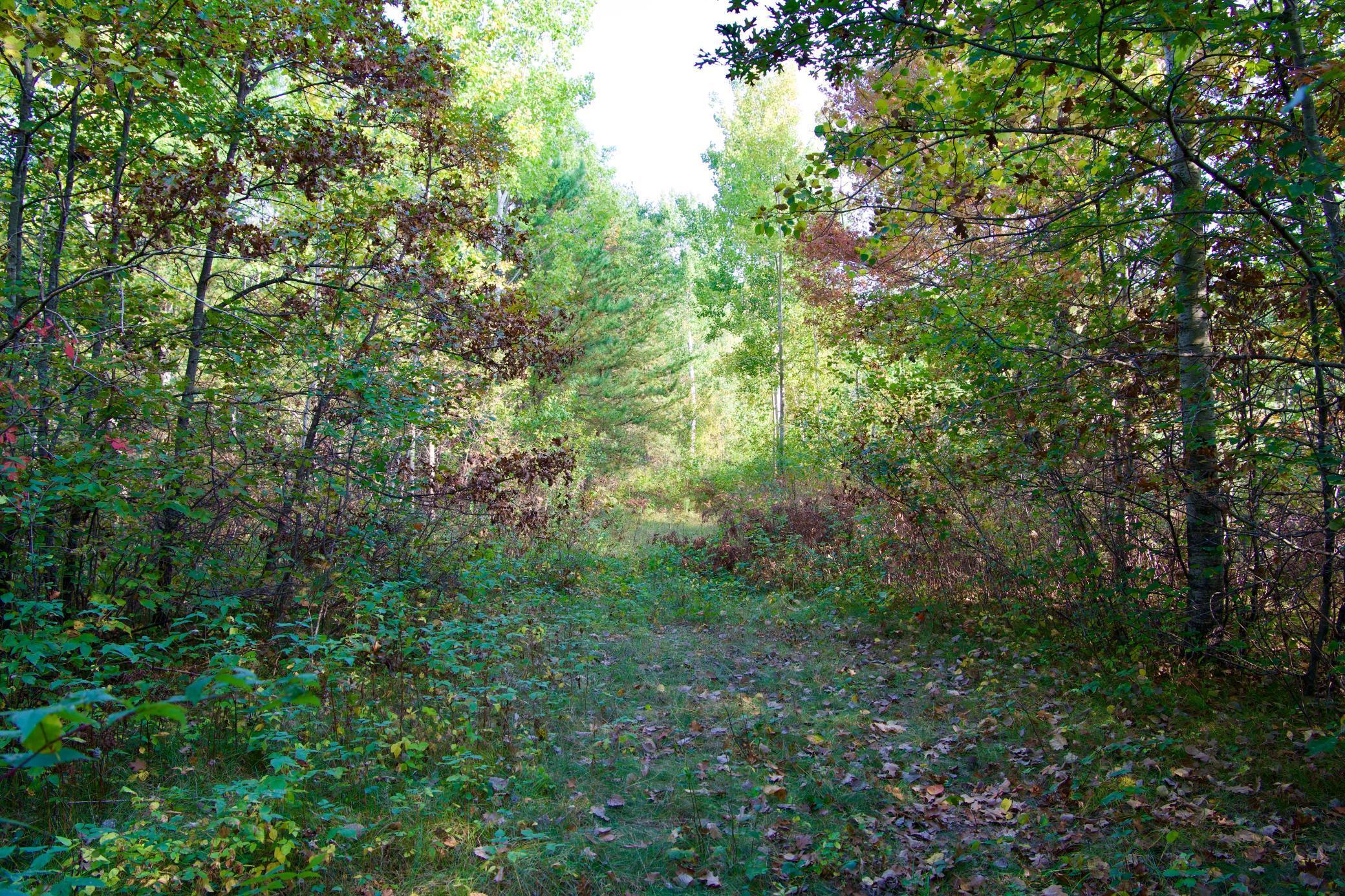 View of Land at 21.8 Acres Hwy 371, Brainerd MN 56401, Brainerd (12 of 17) - Mike Wilen | Minnesota Team Real Estate
