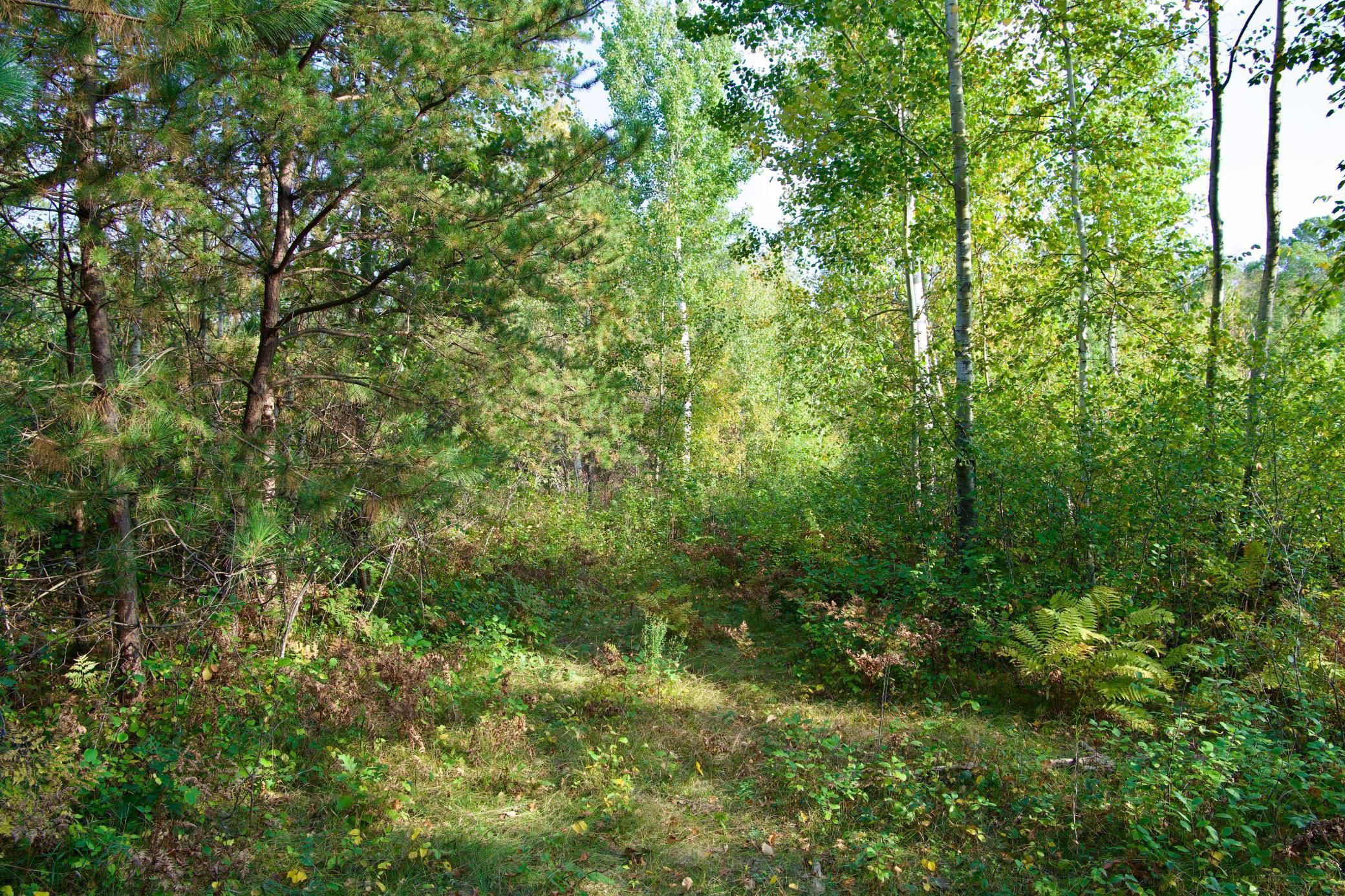 View of Land at 21.8 Acres Hwy 371, Brainerd MN 56401, Brainerd (11 of 17) - Mike Wilen | Minnesota Team Real Estate