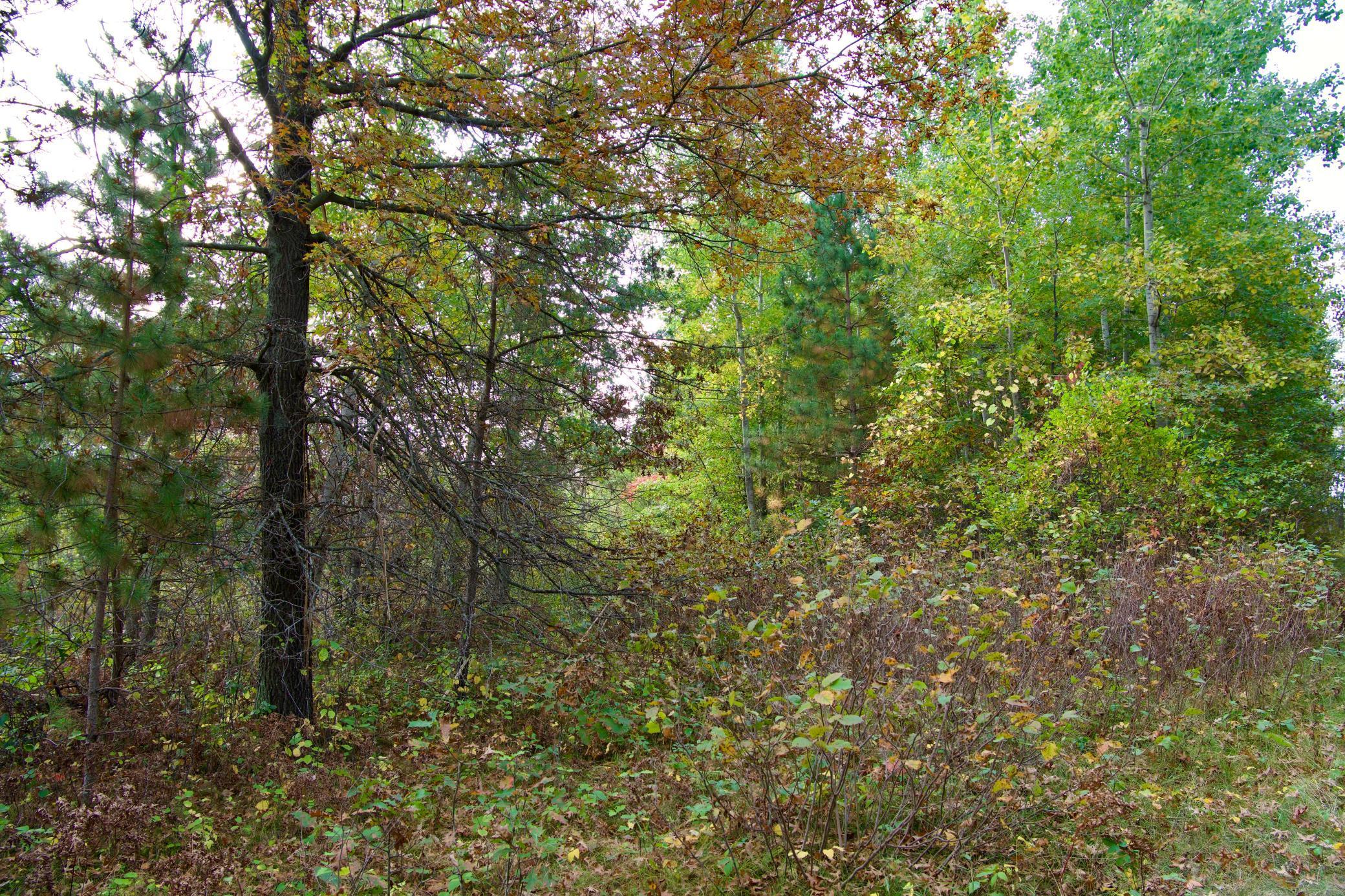 View of Land at 21.8 Acres Hwy 371, Brainerd MN 56401, Brainerd (7 of 17) - Mike Wilen | Minnesota Team Real Estate