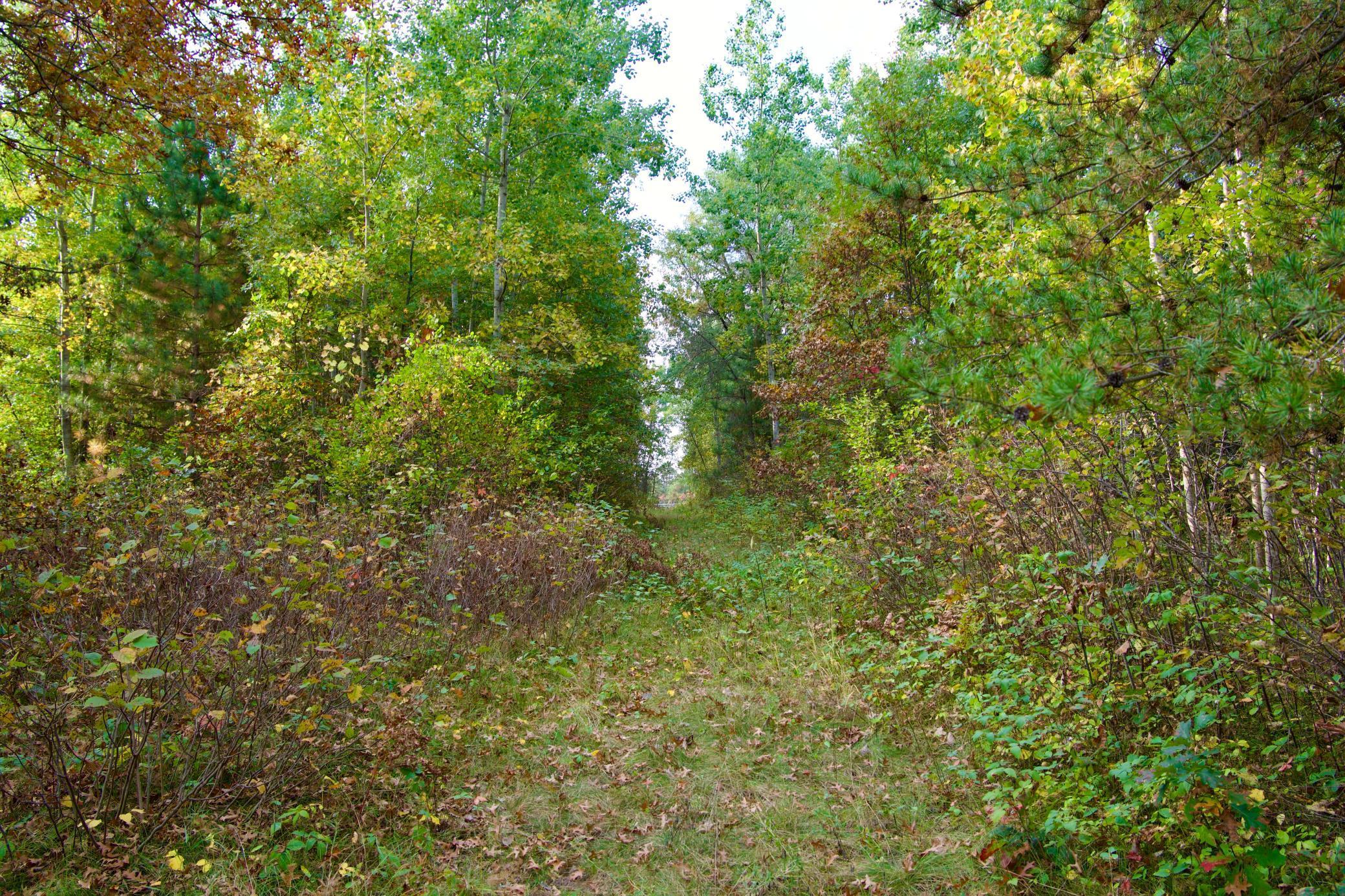 View of Land at 21.8 Acres Hwy 371, Brainerd MN 56401, Brainerd (6 of 17) - Mike Wilen | Minnesota Team Real Estate