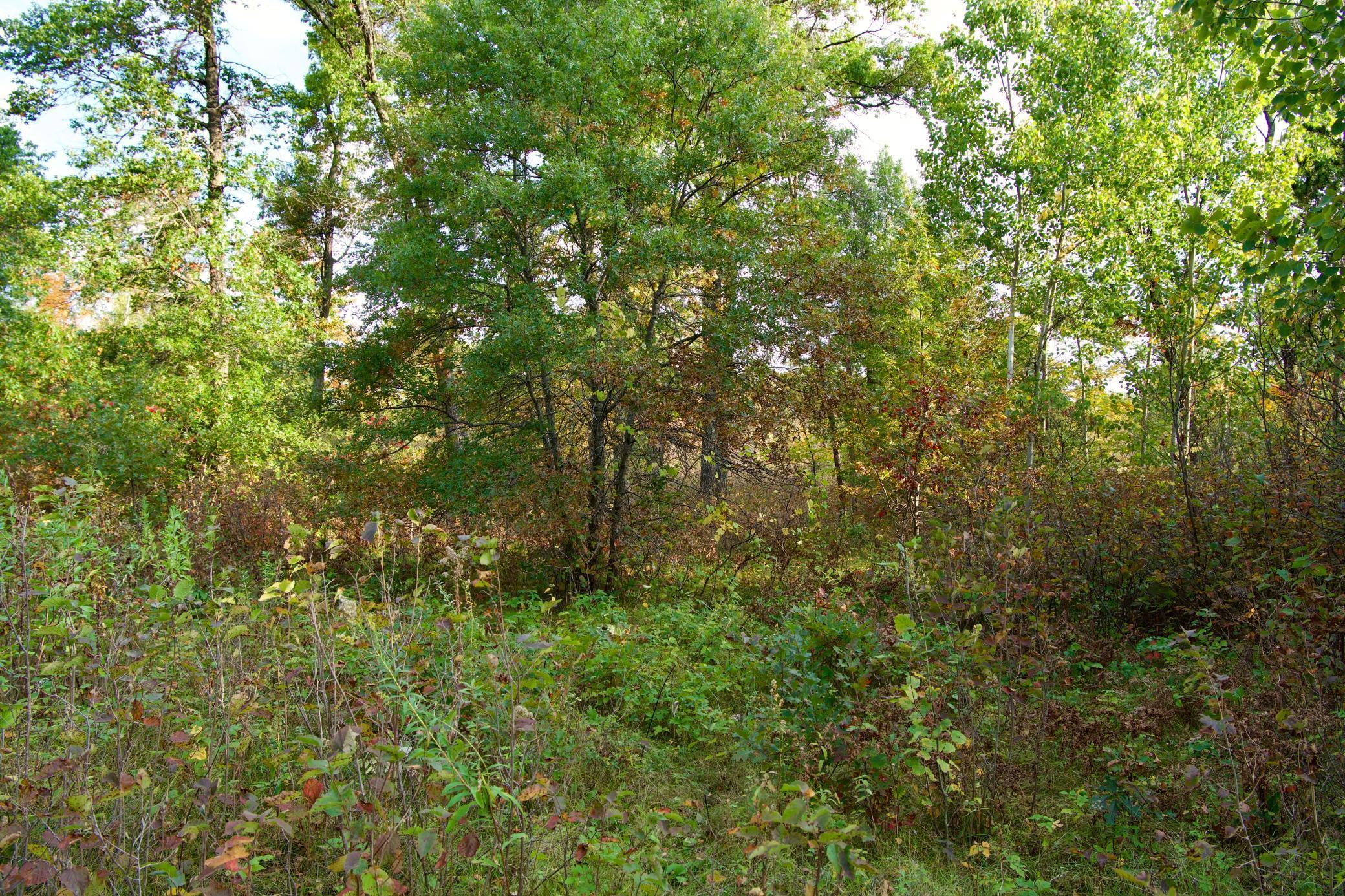 View of Land at 21.8 Acres Hwy 371, Brainerd MN 56401, Brainerd (5 of 17) - Mike Wilen | Minnesota Team Real Estate