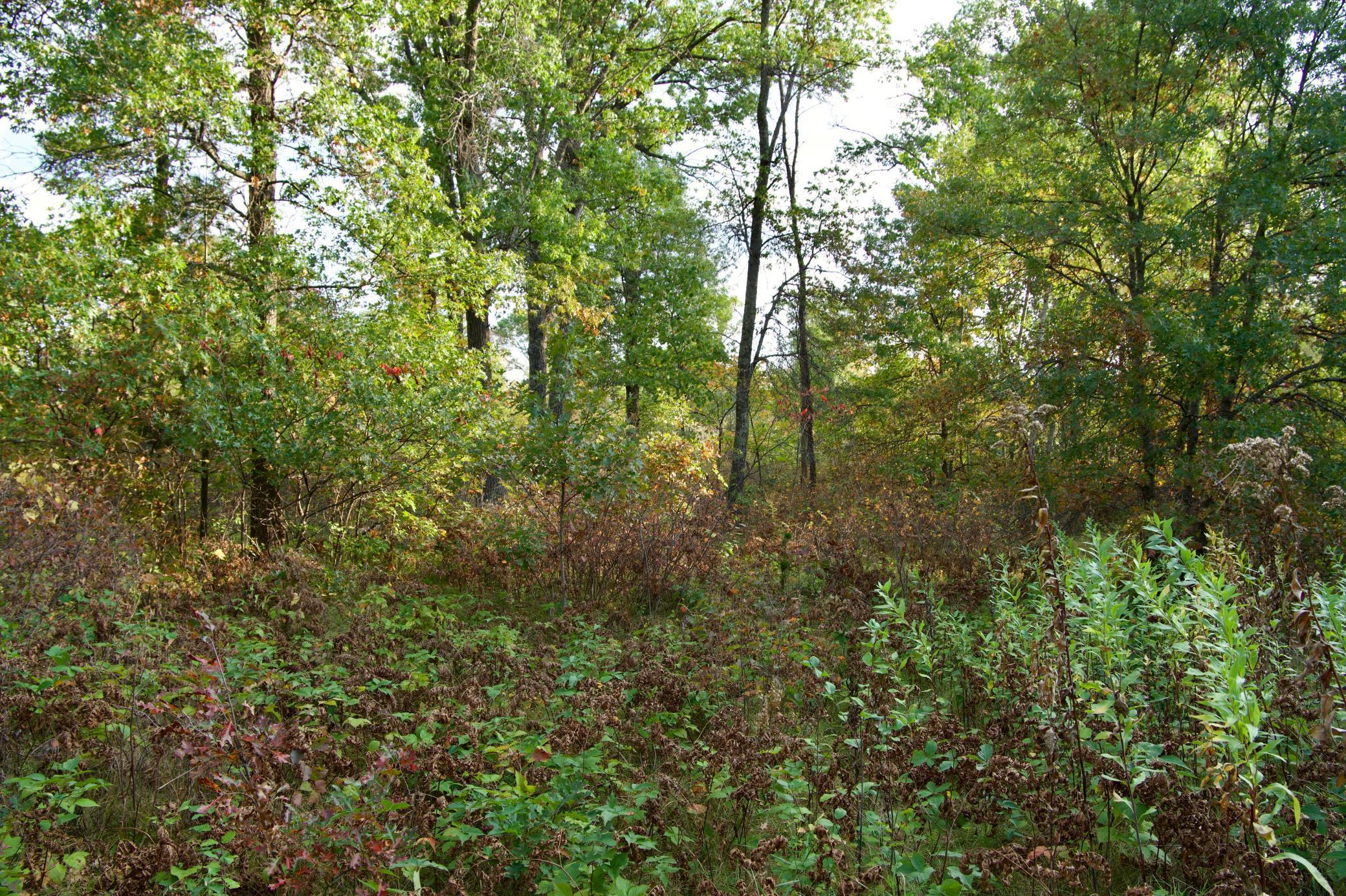 View of Land at 21.8 Acres Hwy 371, Brainerd MN 56401, Brainerd (4 of 17) - Mike Wilen | Minnesota Team Real Estate