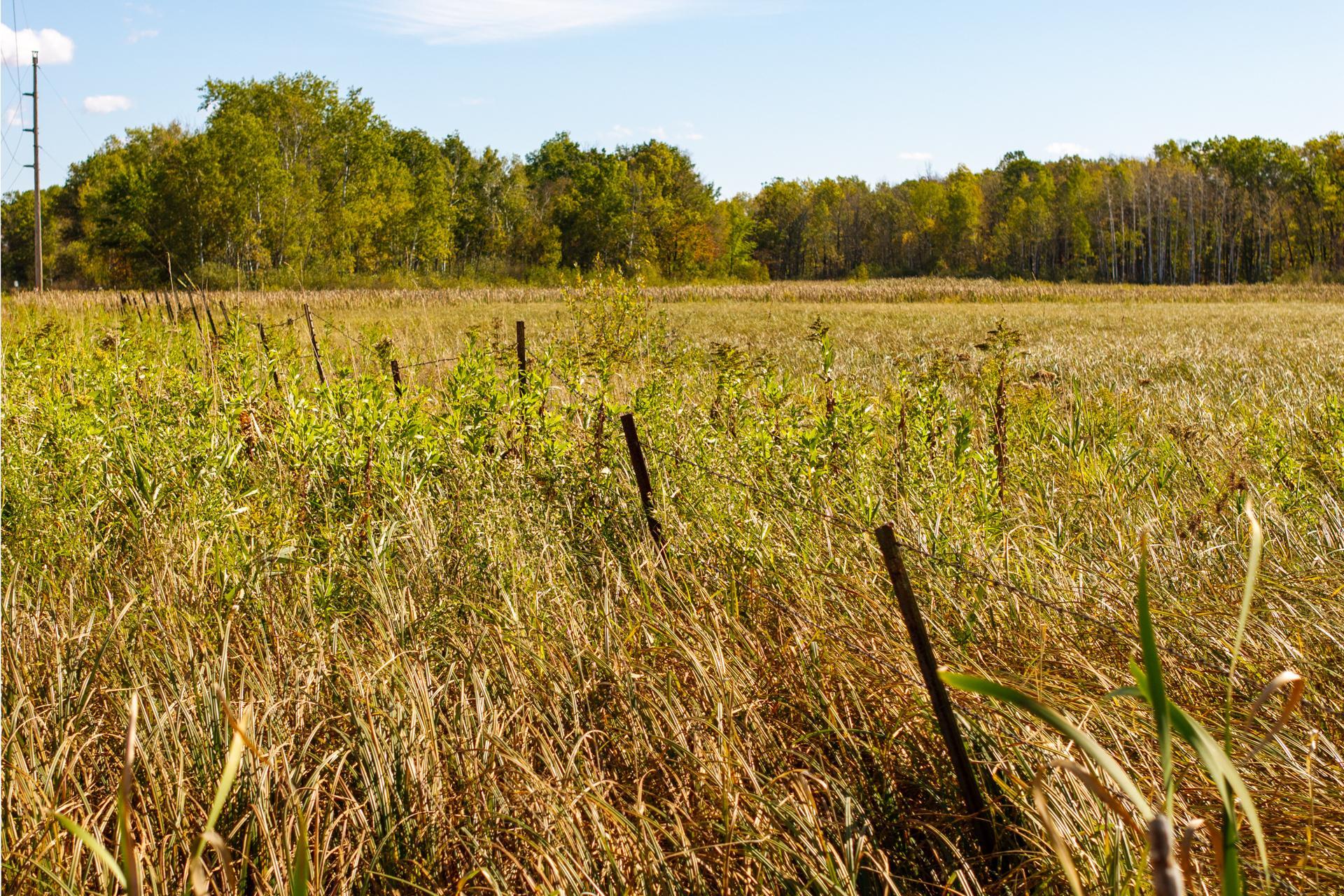 View of Land at TBD 350th St, Onamia MN 56359, Onamia (18 of 22) - Mike Wilen | Minnesota Team Real Estate