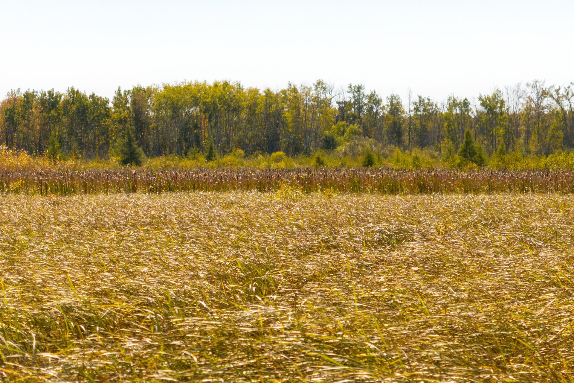 View of Land at TBD 350th St, Onamia MN 56359, Onamia (17 of 22) - Mike Wilen | Minnesota Team Real Estate