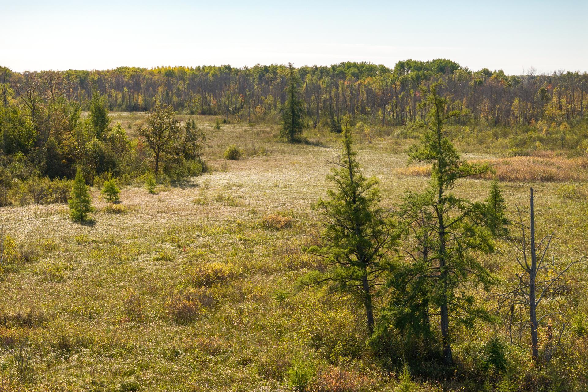 View of Land at TBD 350th St, Onamia MN 56359, Onamia (14 of 22) - Mike Wilen | Minnesota Team Real Estate