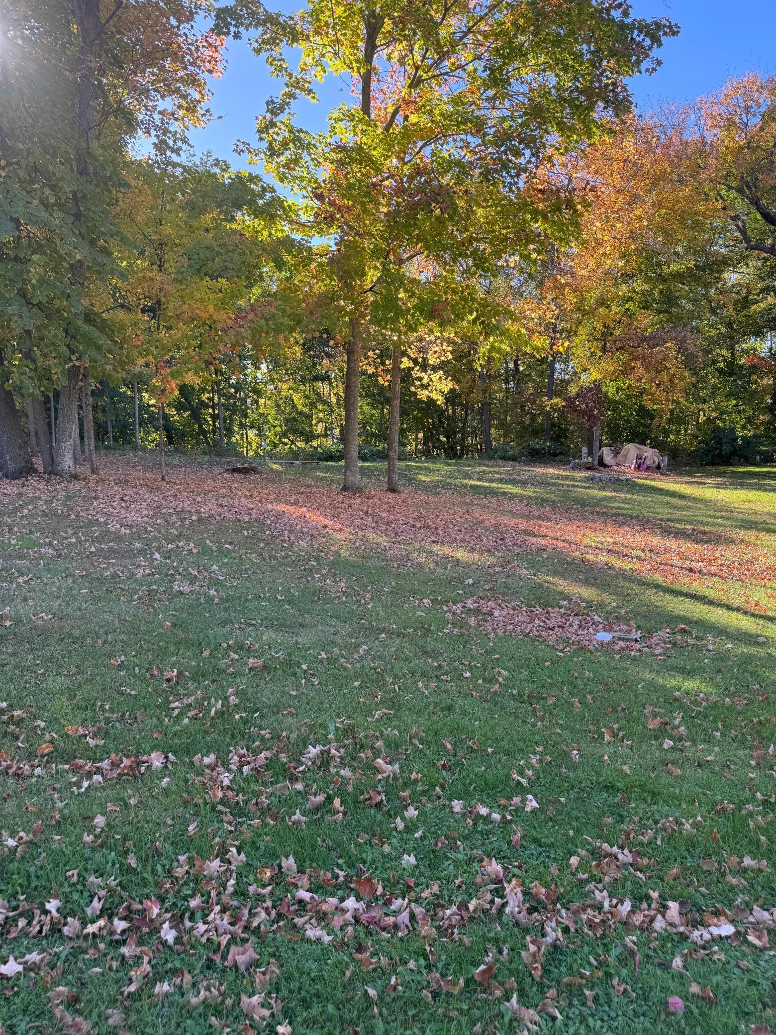 View of Land at 46775 Earle Brown Drive, Garrison MN 56450, Garrison - Mike Wilen | Minnesota Team Real Estate