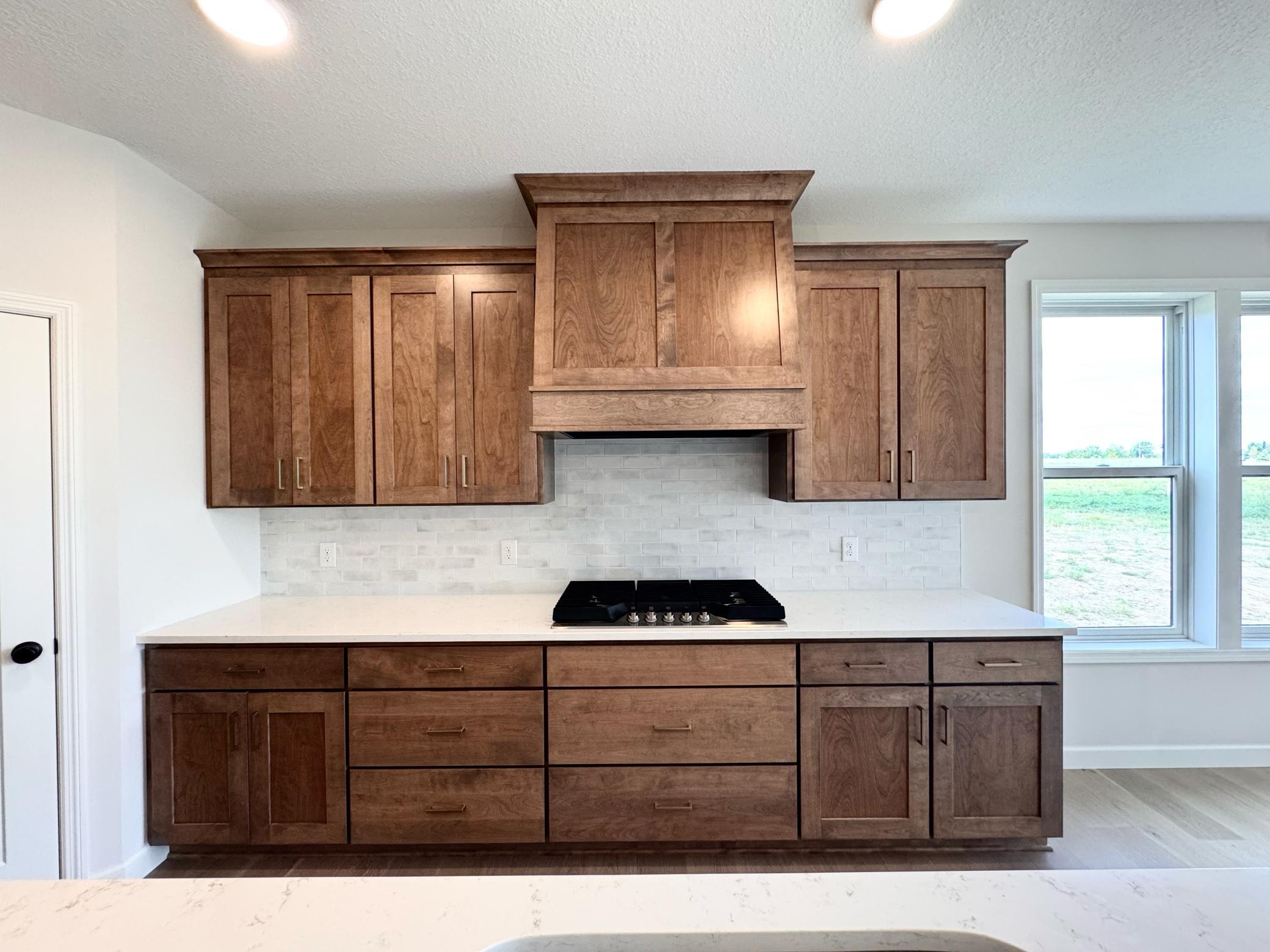 View of Twin Home at 18661 Icebox Lane, Lakeville - Mike Wilen | Minnesota Team Real Estate