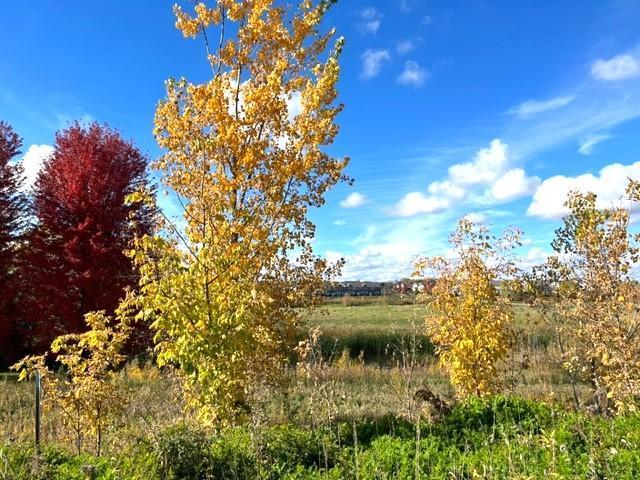 View of Land at 837 Meander Ct., Medina MN 55340, Medina (15 of 18) - Mike Wilen | Minnesota Team Real Estate