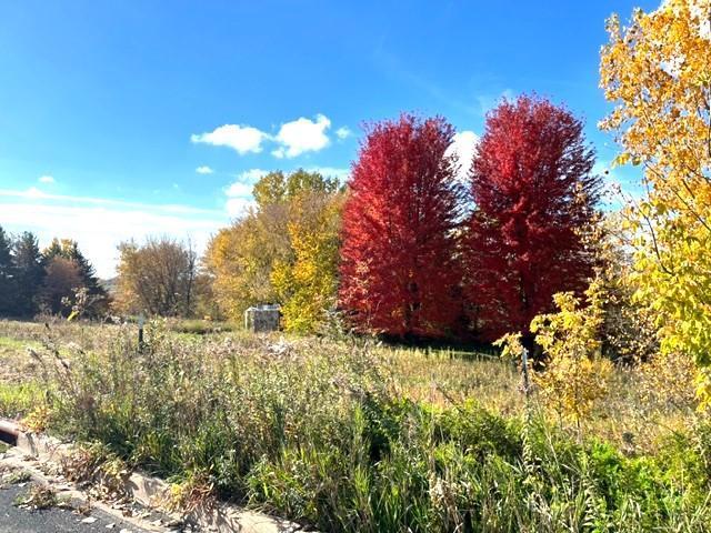 View of Land at 849 Meander Court, Medina MN 55340, Medina (13 of 18) - Mike Wilen | Minnesota Team Real Estate