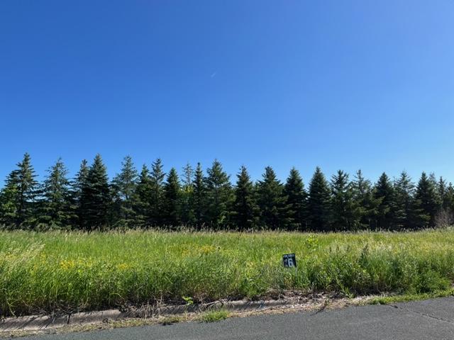 View of Land at 849 Meander Court, Medina MN 55340, Medina (17 of 18) - Mike Wilen | Minnesota Team Real Estate