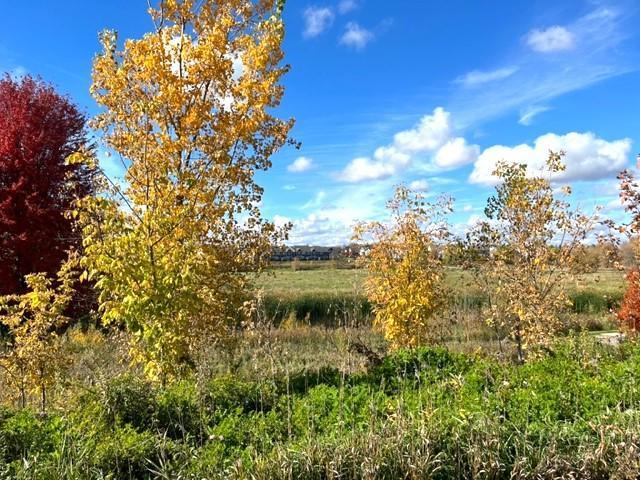 View of Land at 815 Meander Court, Medina MN 55340, Medina (16 of 19) - Mike Wilen | Minnesota Team Real Estate