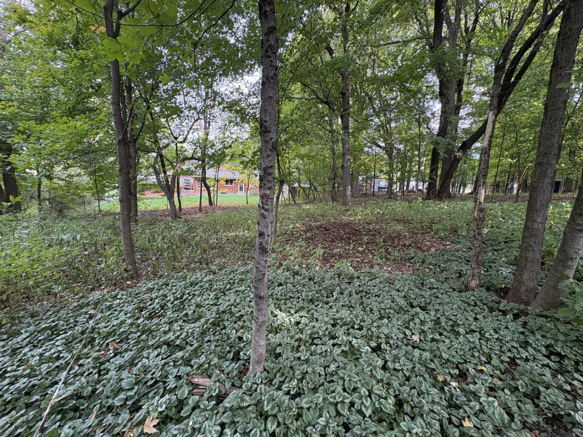View of Residential at 16401 Hidden Valley Road, Minnetonka MN 55345, Minnetonka - Mike Wilen | Minnesota Team Real Estate