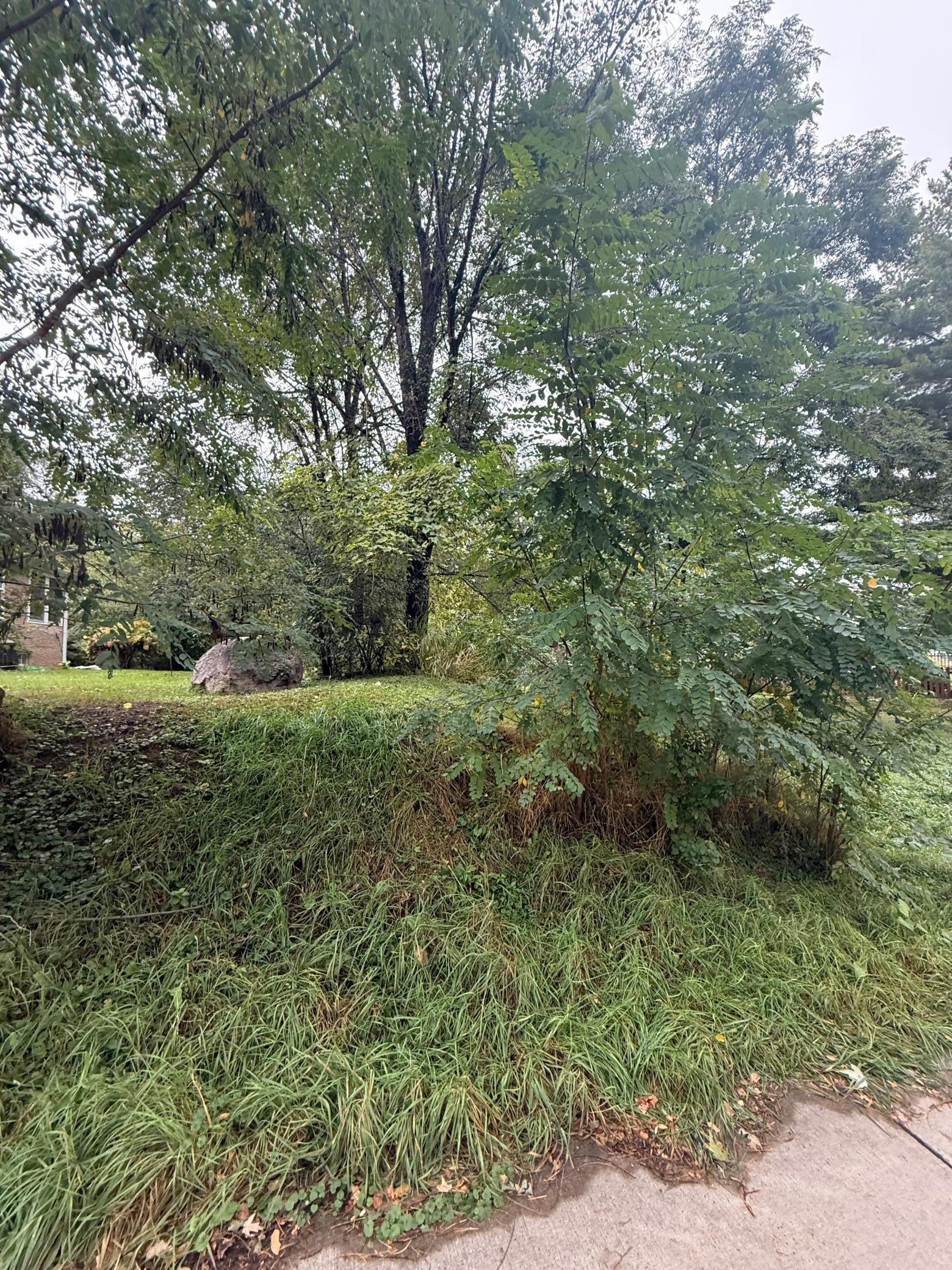 View of Land at 1425 Evans Avenue, South Saint Paul MN 55075, South Saint Paul (3 of 4) - Mike Wilen | Minnesota Team Real Estate
