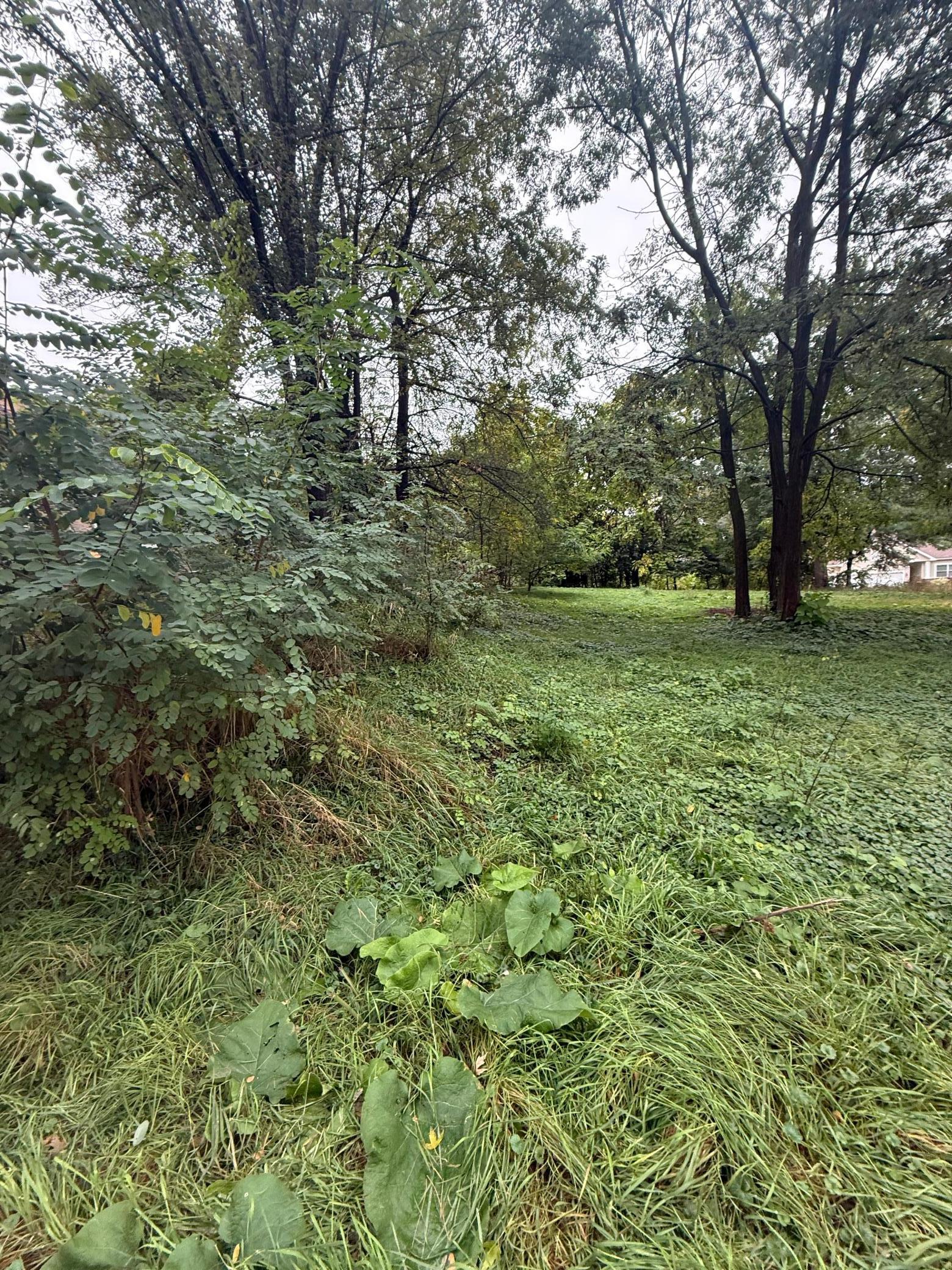 View of Land at 1425 Evans Avenue, South Saint Paul MN 55075, South Saint Paul (2 of 4) - Mike Wilen | Minnesota Team Real Estate