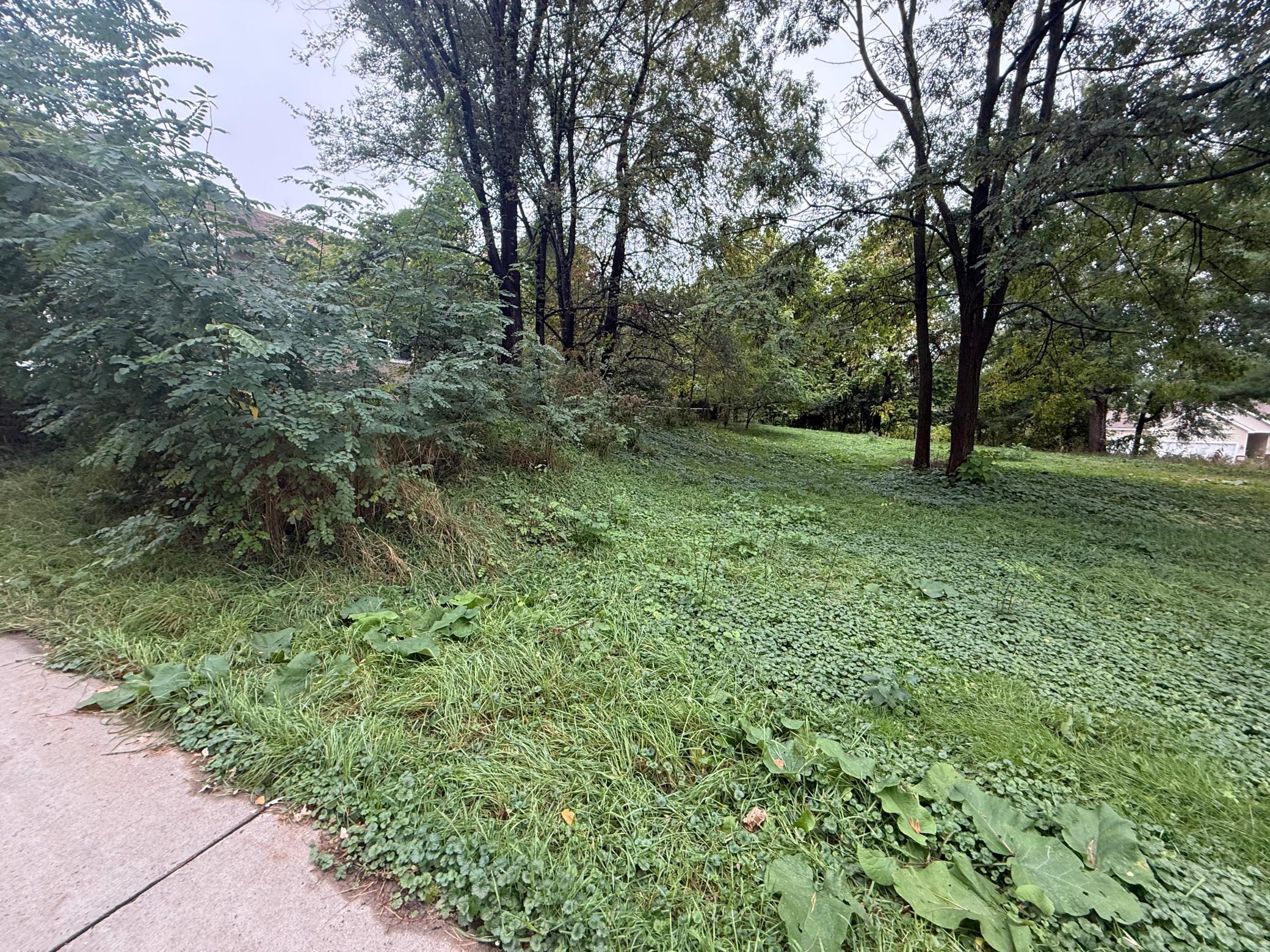 View of Land at 1425 Evans Avenue, South Saint Paul - Mike Wilen | Minnesota Team Real Estate