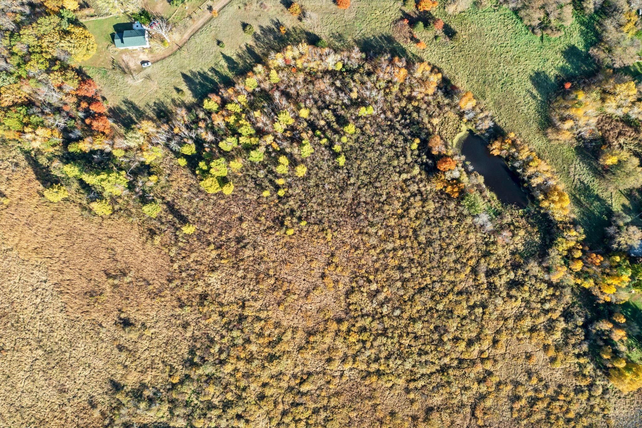 View of Land at 74xx 181st Avenue, Nowthen MN 55303, Nowthen (48 of 48) - Mike Wilen | Minnesota Team Real Estate