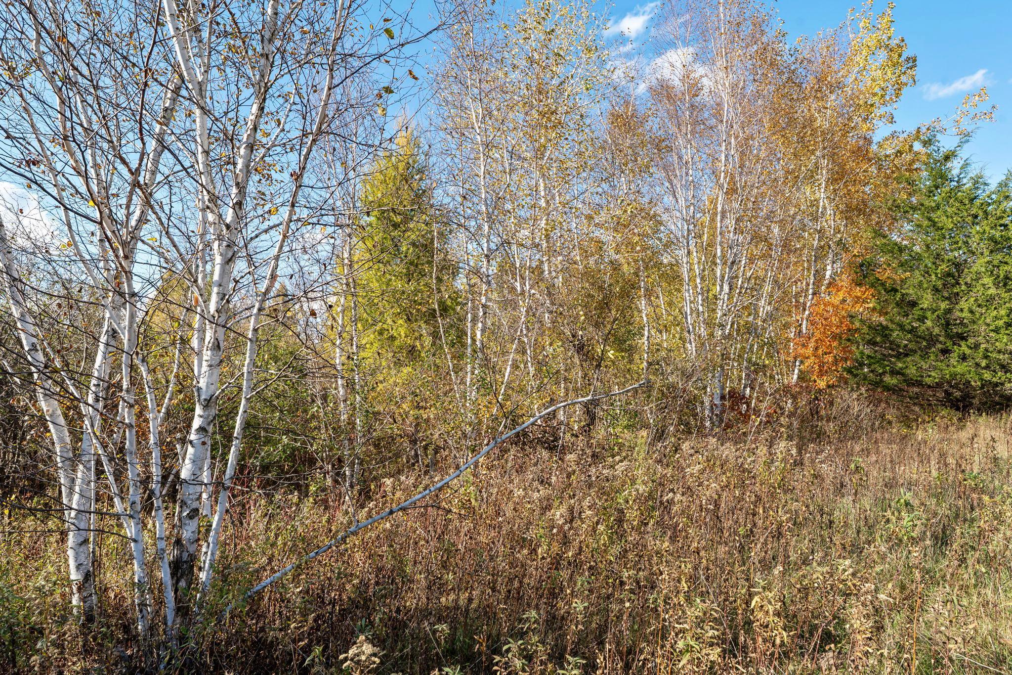View of Land at 74xx 181st Avenue, Nowthen MN 55303, Nowthen (20 of 48) - Mike Wilen | Minnesota Team Real Estate