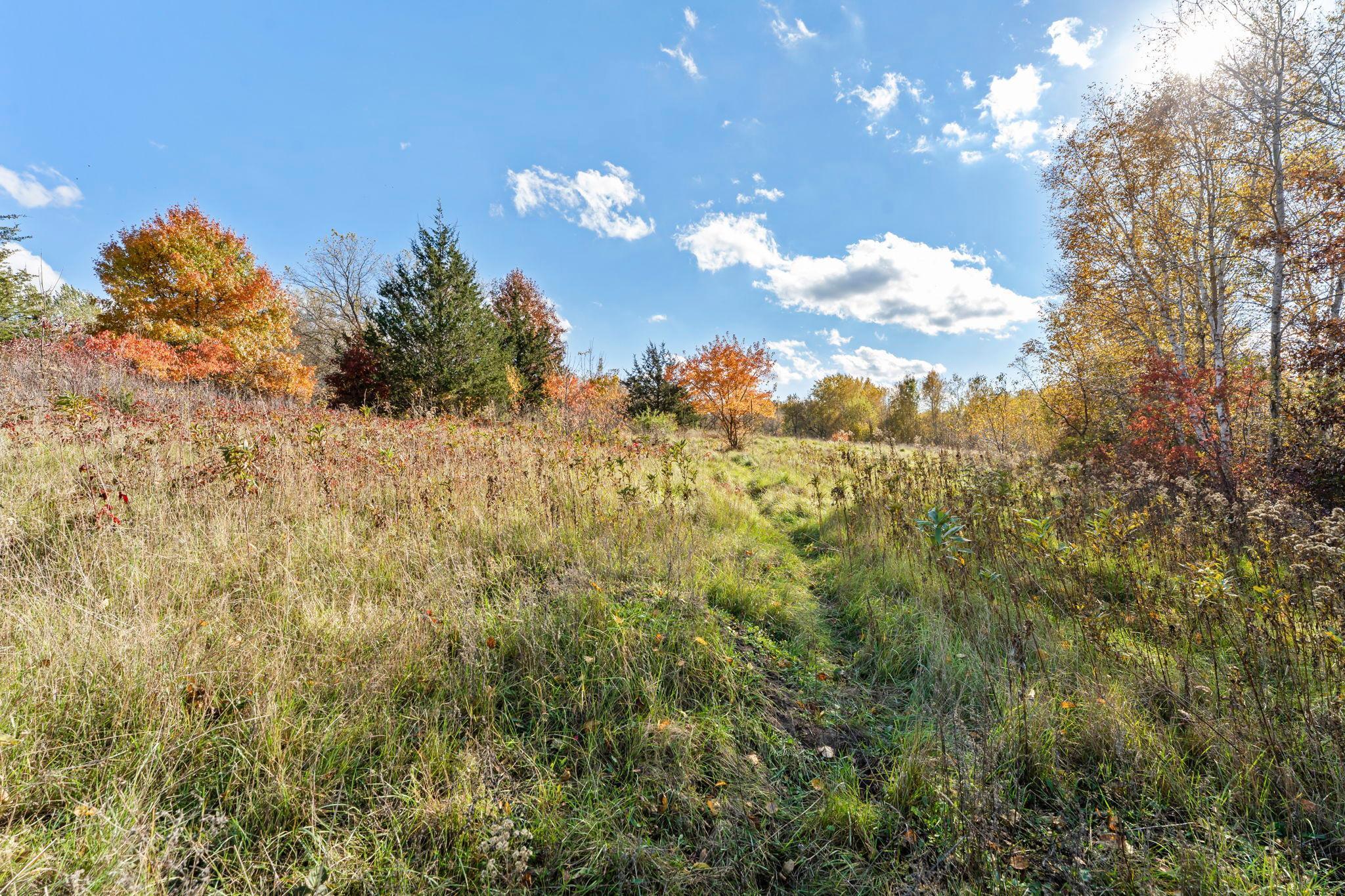 View of Land at 74xx 181st Avenue, Nowthen MN 55303, Nowthen (19 of 48) - Mike Wilen | Minnesota Team Real Estate