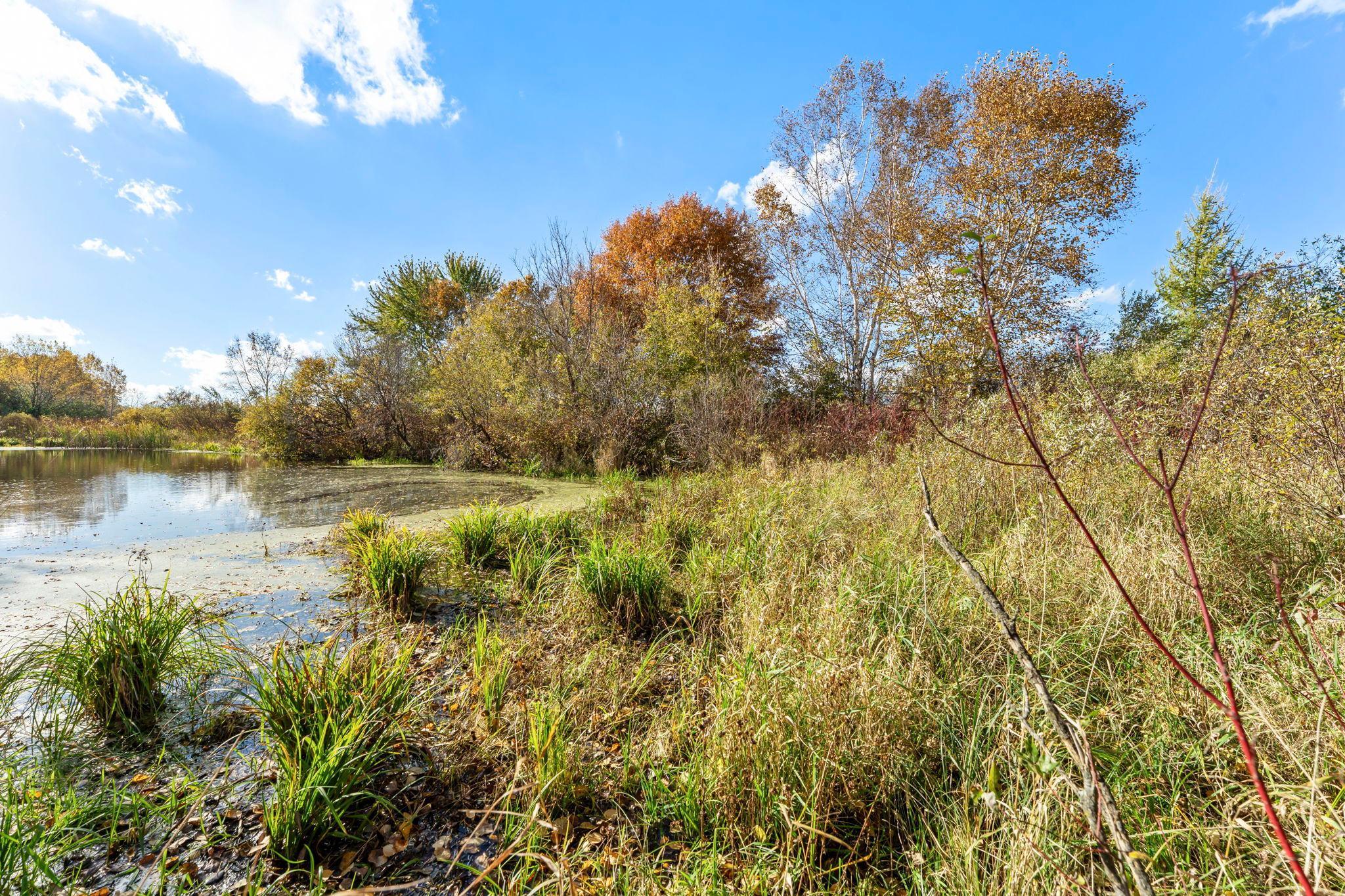 View of Land at 74xx 181st Avenue, Nowthen MN 55303, Nowthen (18 of 48) - Mike Wilen | Minnesota Team Real Estate