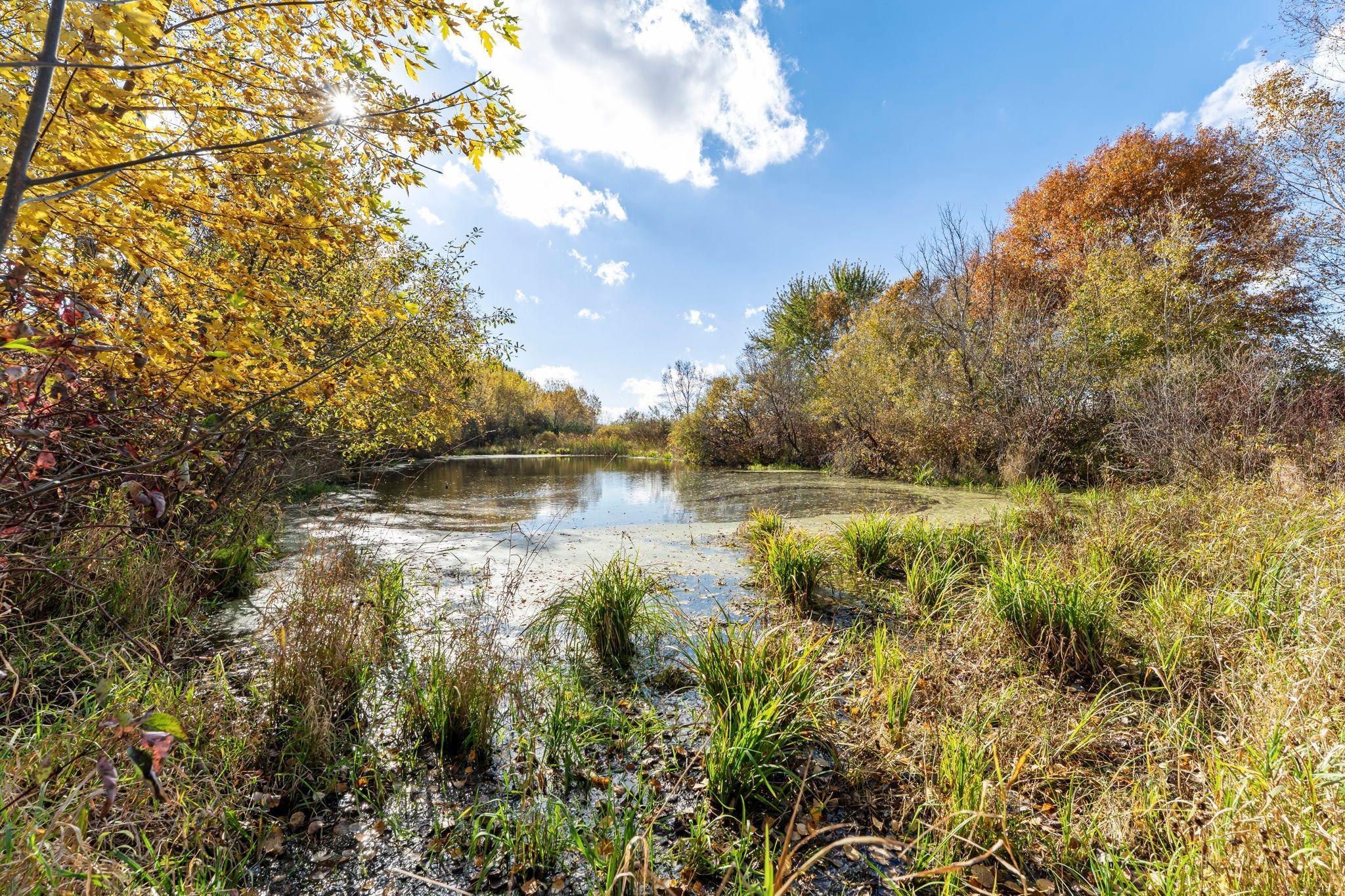View of Land at 74xx 181st Avenue, Nowthen MN 55303, Nowthen (17 of 48) - Mike Wilen | Minnesota Team Real Estate