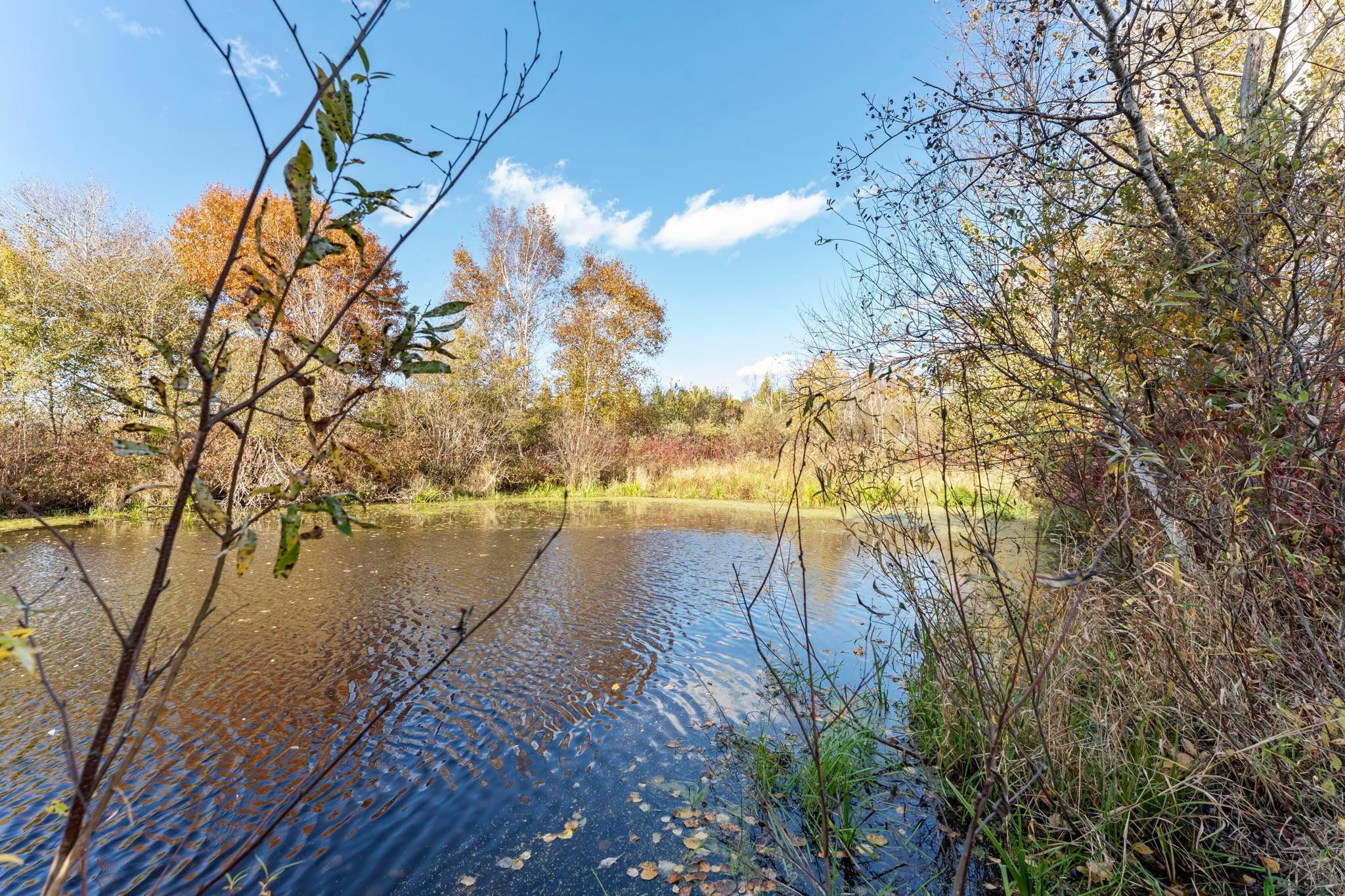 View of Land at 74xx 181st Avenue, Nowthen MN 55303, Nowthen (16 of 48) - Mike Wilen | Minnesota Team Real Estate