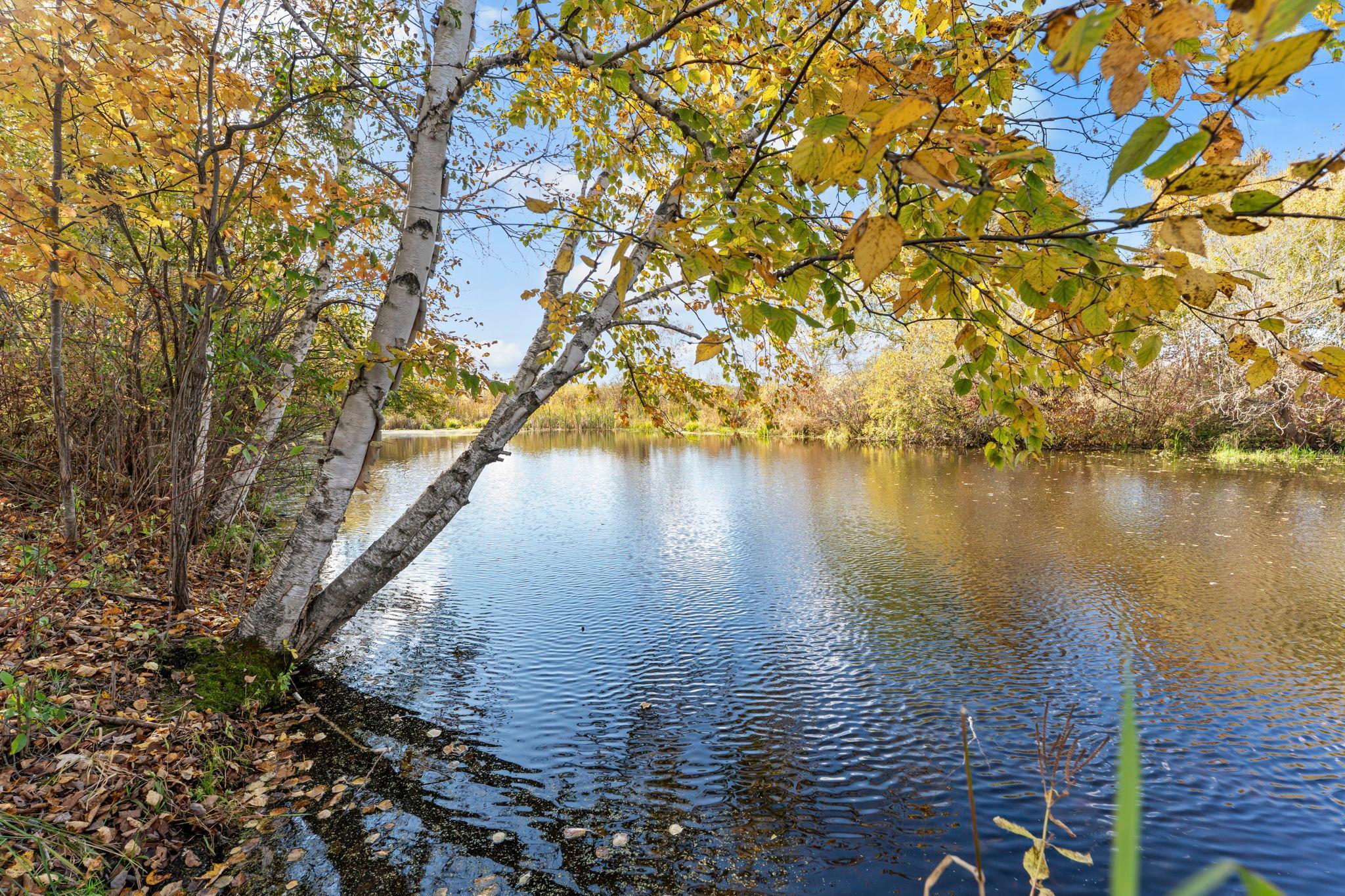 View of Land at 74xx 181st Avenue, Nowthen MN 55303, Nowthen (4 of 48) - Mike Wilen | Minnesota Team Real Estate